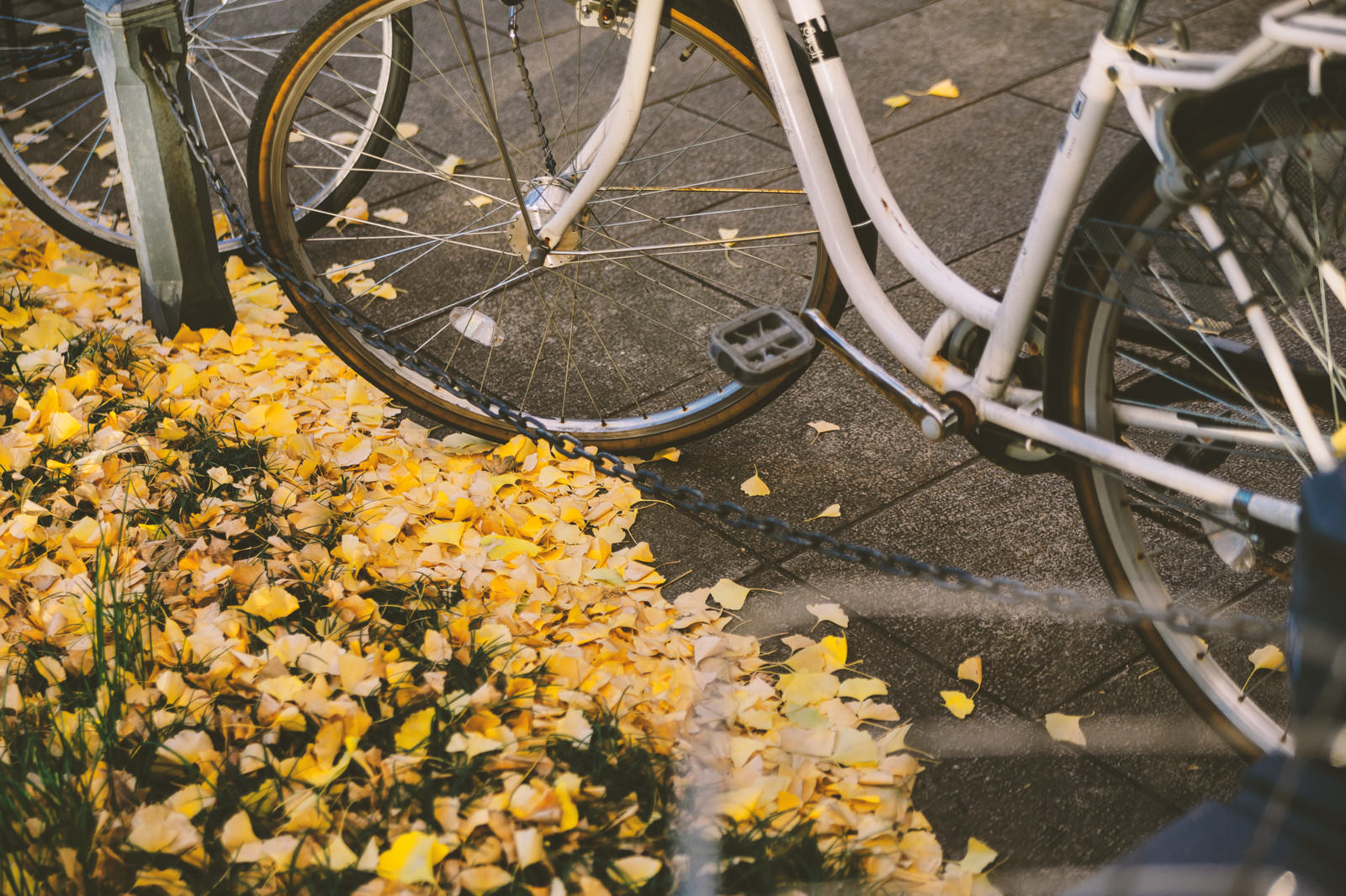 ãæ¾ç½®èªè»¢è»ã¨éæã®èæ¾ç½®èªè»¢è»ã¨éæã®èãã®ããªã¼åçç´ æãæ¡å¤§