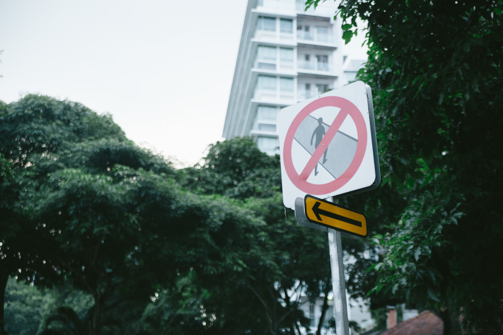 この道路は横断禁止です 標識 の写真を無料ダウンロード フリー素材 ぱくたそ この道路は横断禁止です 標識 の写真を無料ダウンロード フリー素材 ぱくたそ