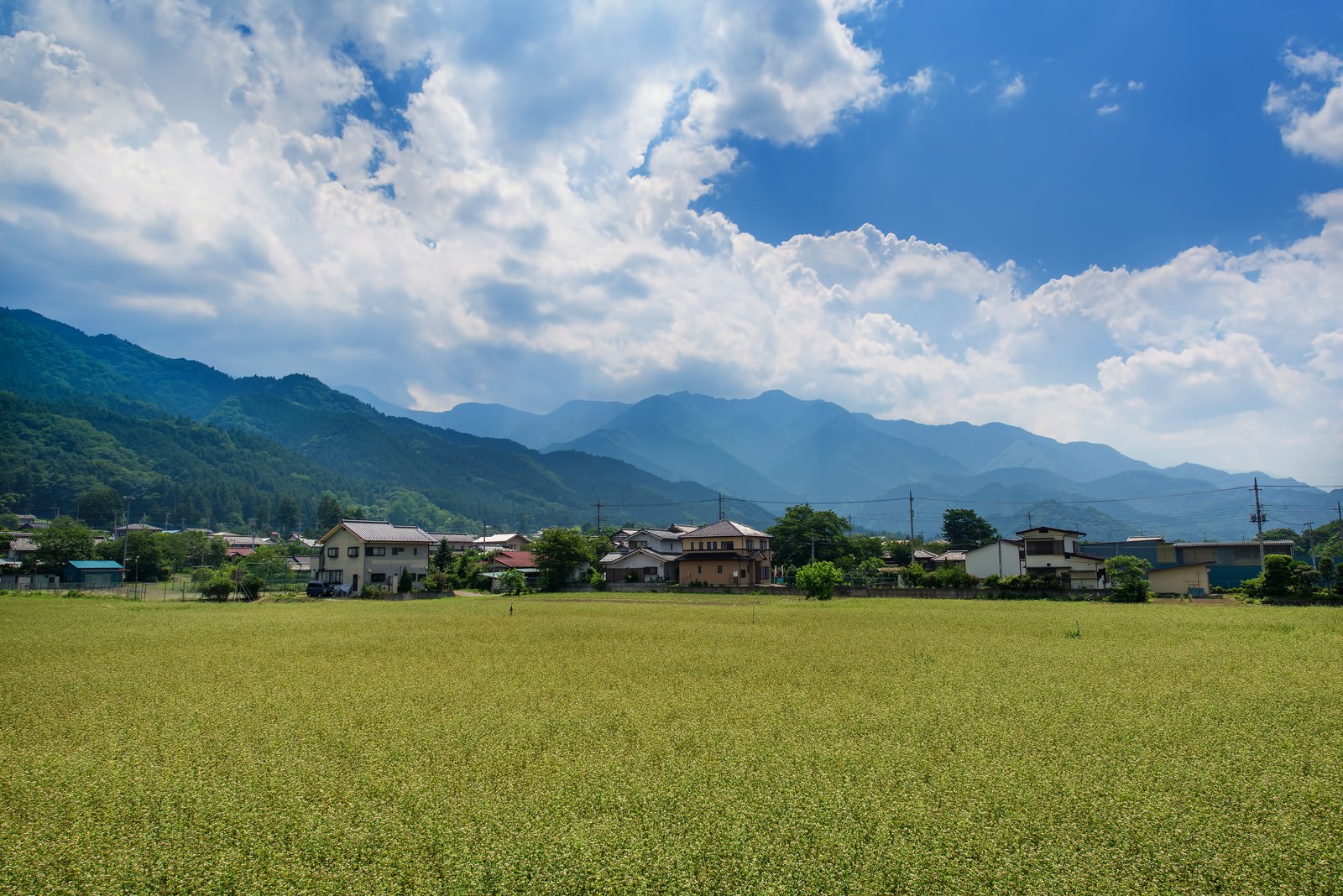 田んぼと田舎の風景の写真を無料ダウンロード（フリー素材） - ぱくたそ