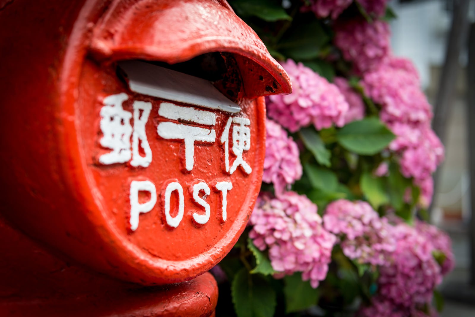 郵便ポストと紫の紫陽花