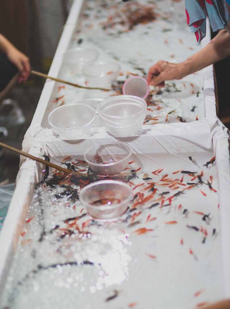 屋台の金魚すくいの写真素材 ぱくたそ