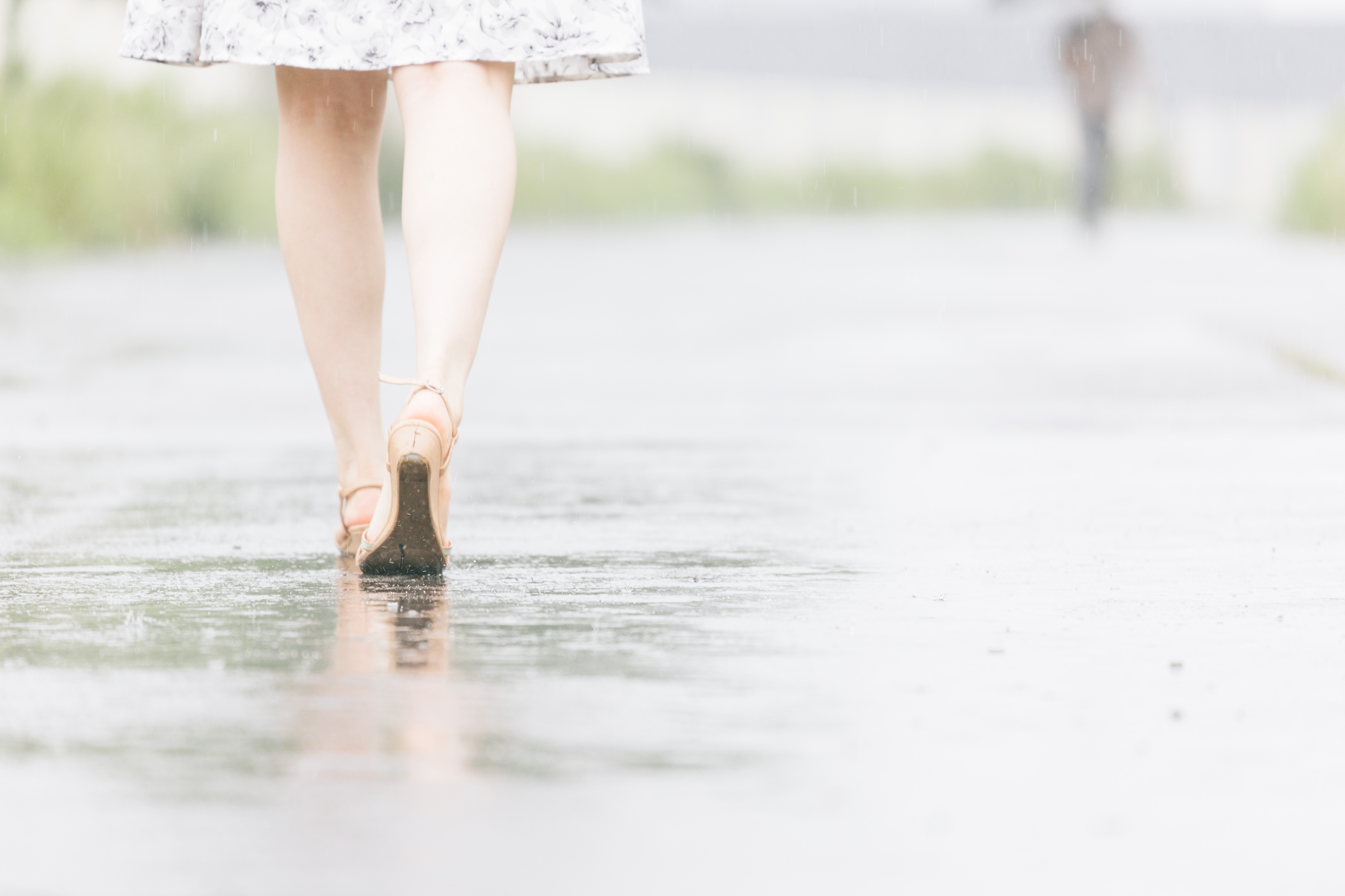 お天気雨の写真素材 ぱくたそ