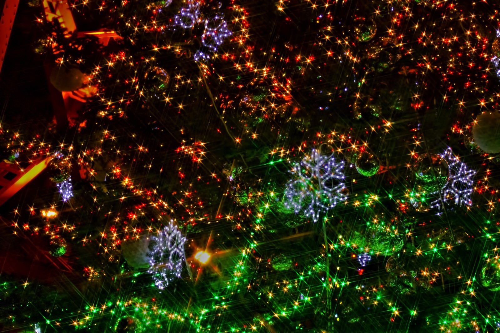 クリスマスツリーのイルミネーションの写真を無料ダウンロード フリー素材 ぱくたそ