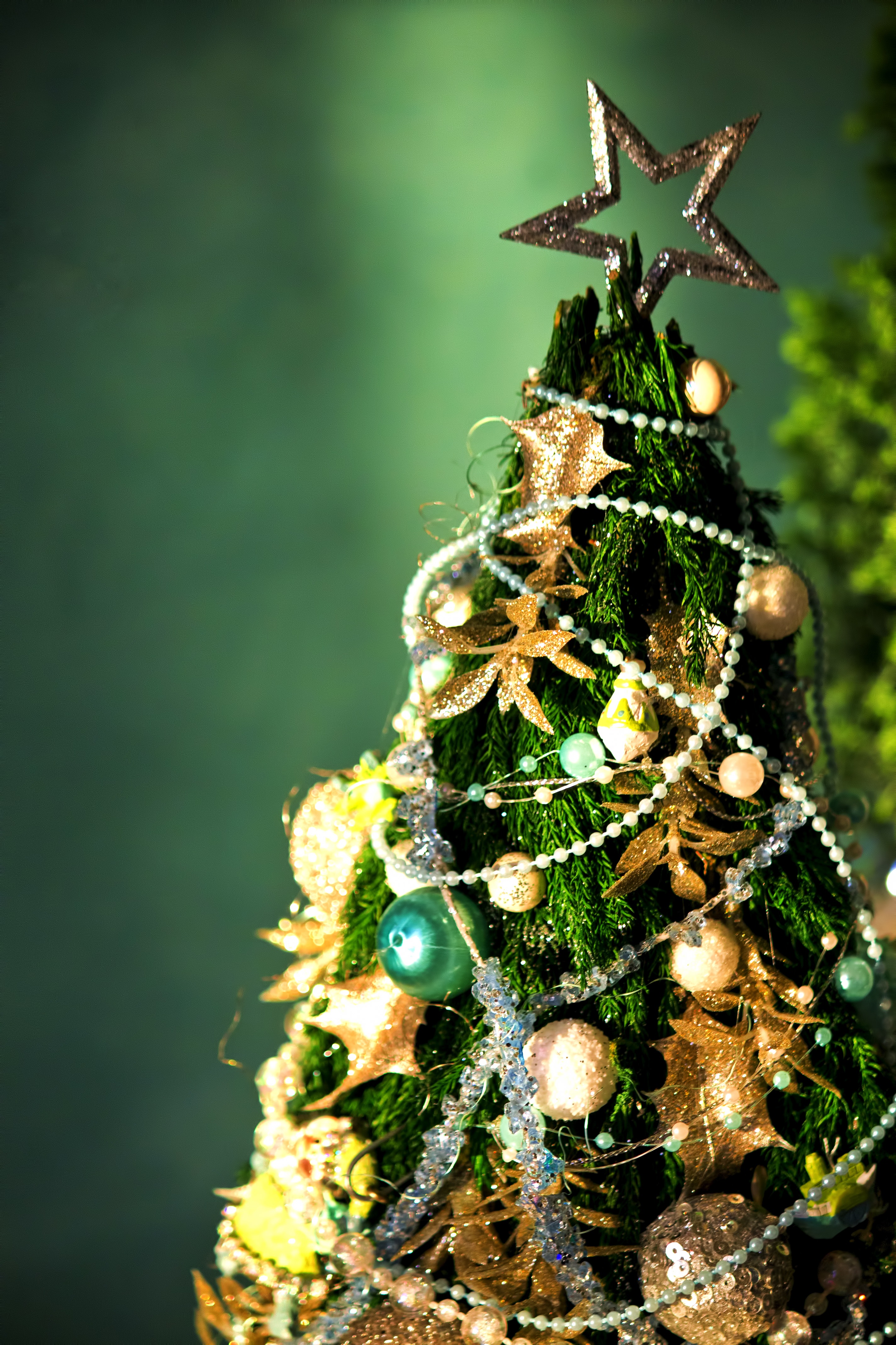 小さいクリスマスツリーの写真 画像 を無料ダウンロード フリー素材のぱくたそ