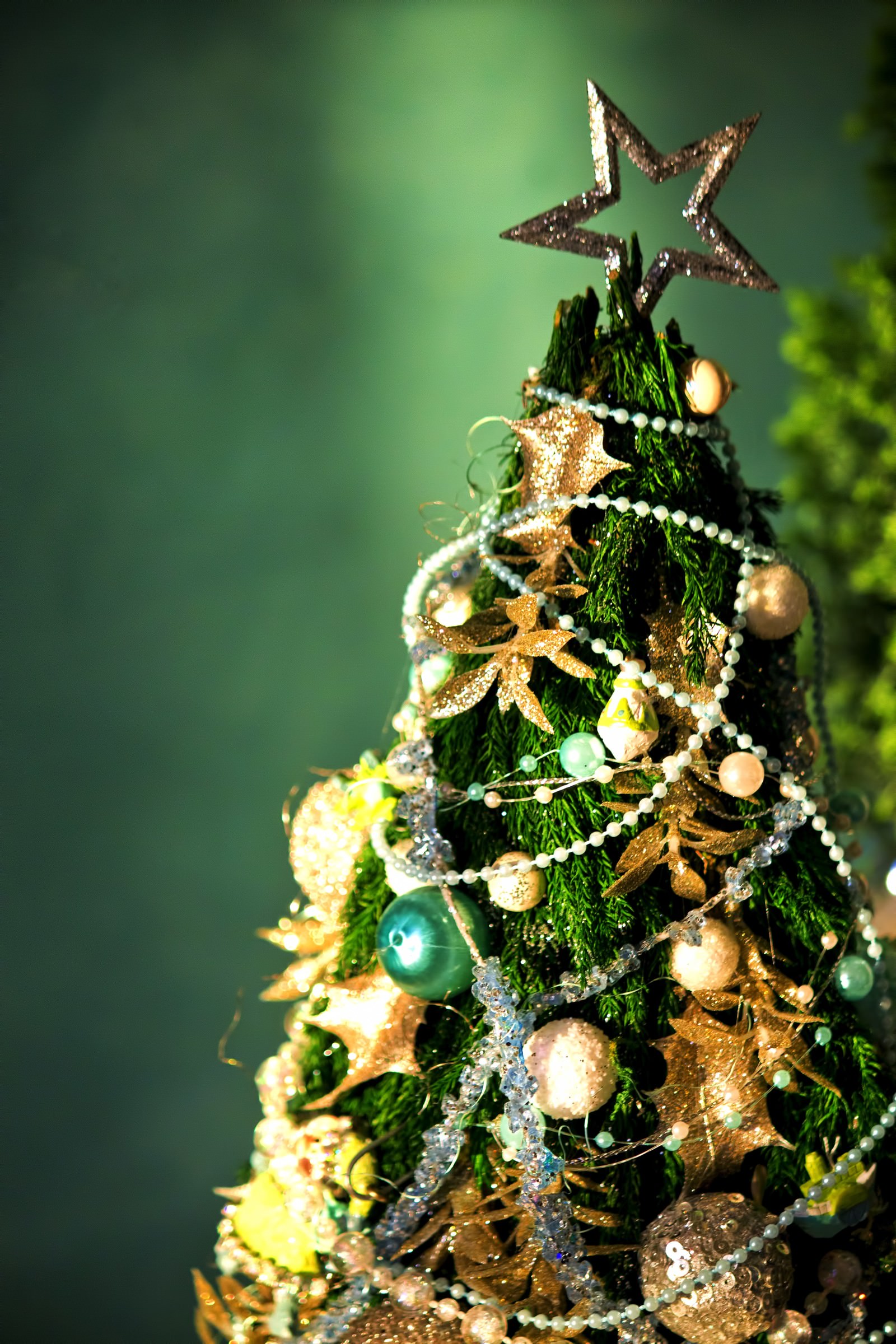 小さいクリスマスツリーの写真 画像 フリー素材 ぱくたそ