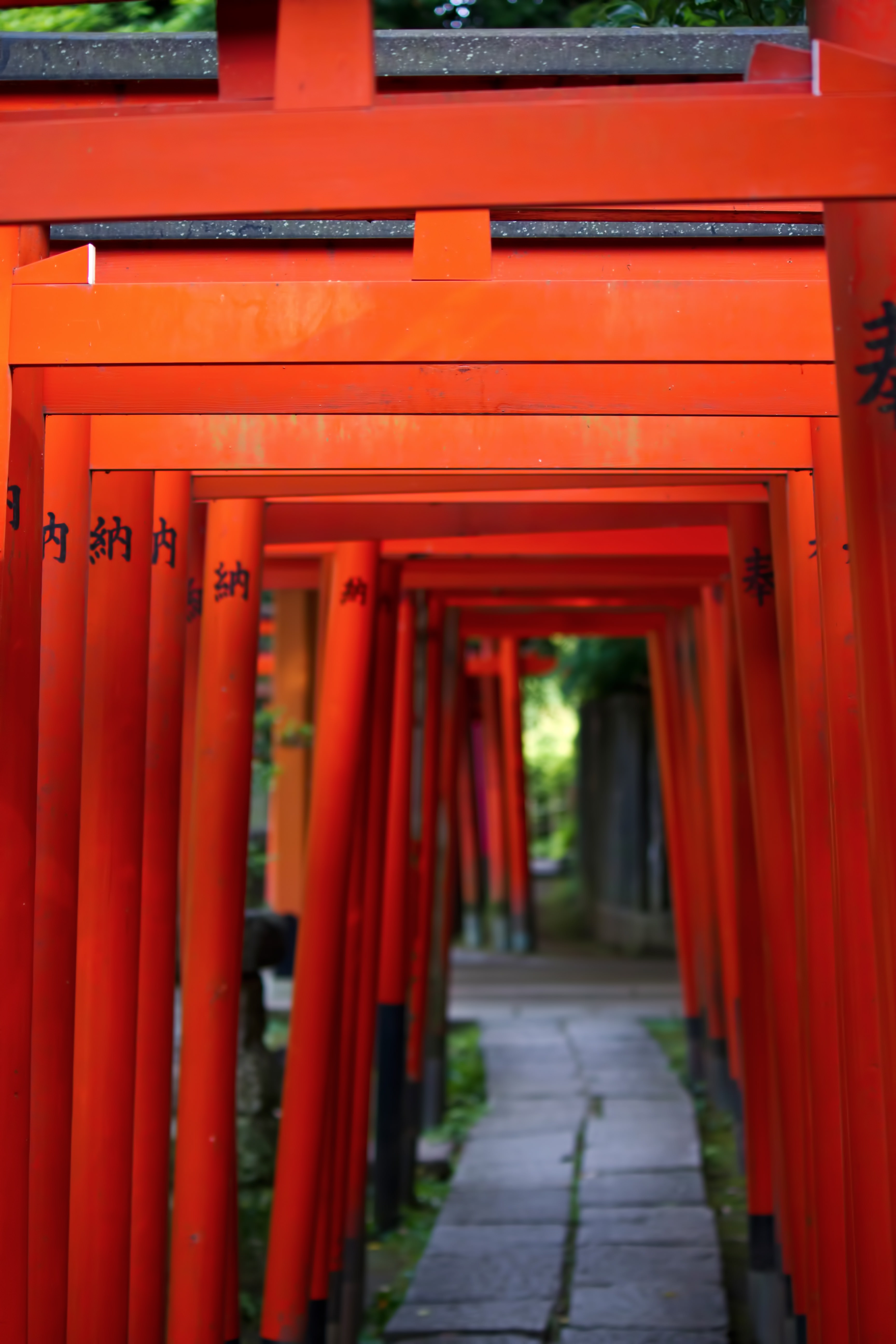 稲荷神社と赤い鳥居のフリー素材 ぱくたそ