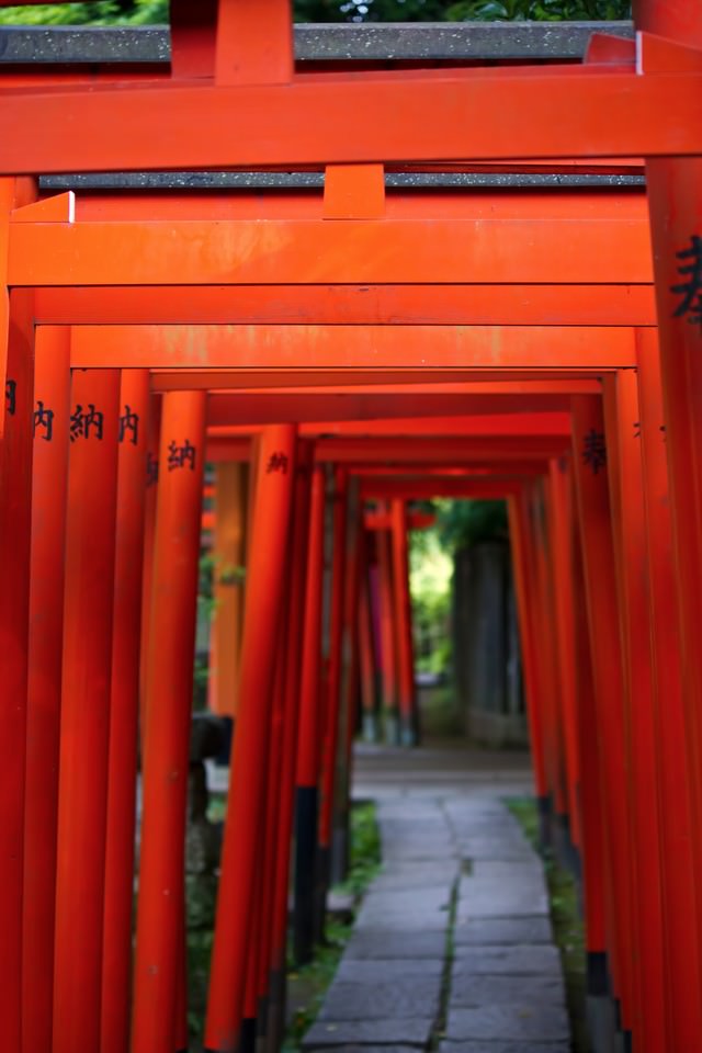 稲荷神社と赤い鳥居の写真素材 ぱくたそ