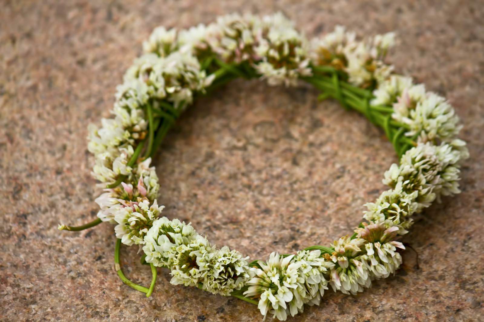 「クローバーの花飾り」の写真