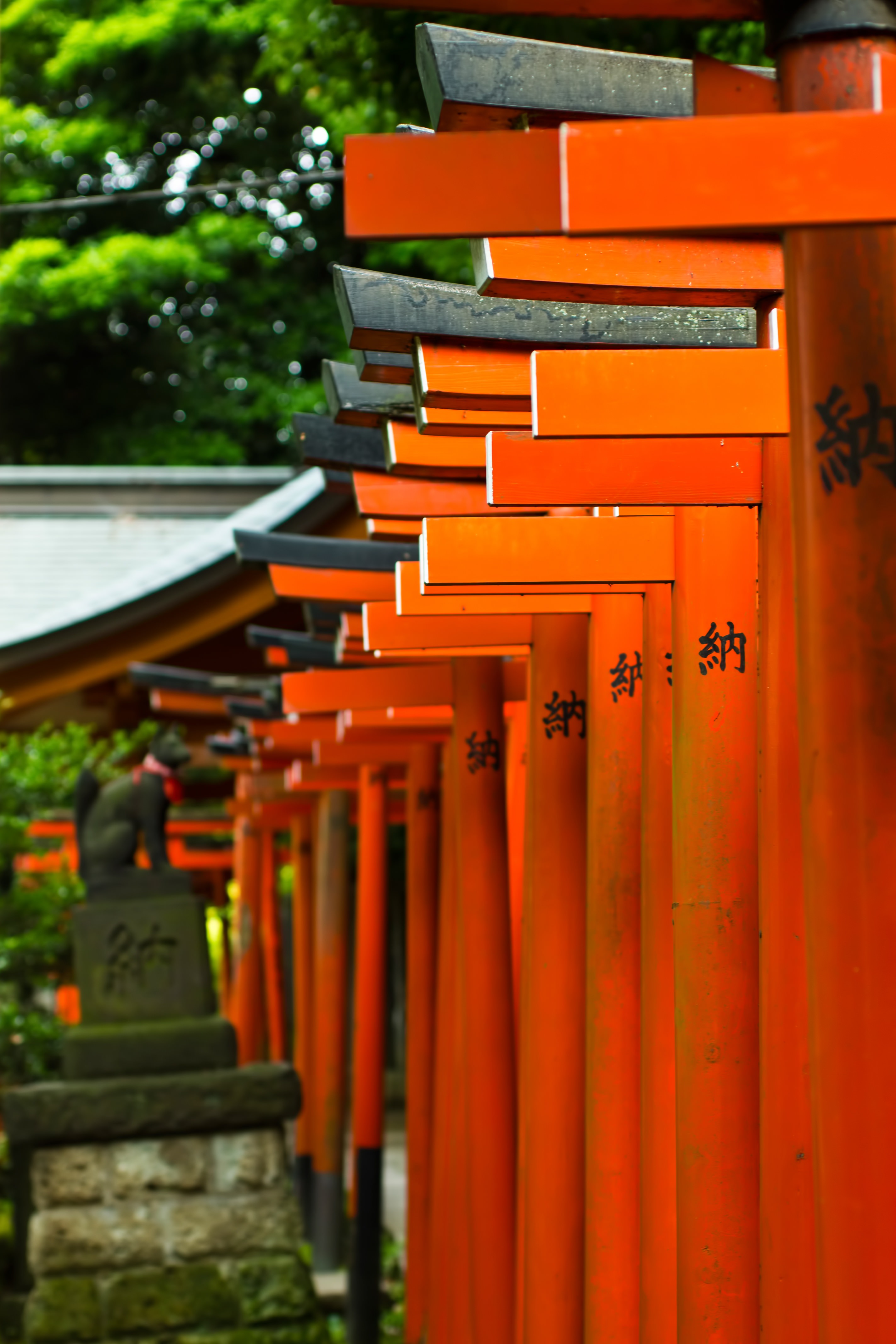 稲荷と赤い鳥居の写真素材 ぱくたそ