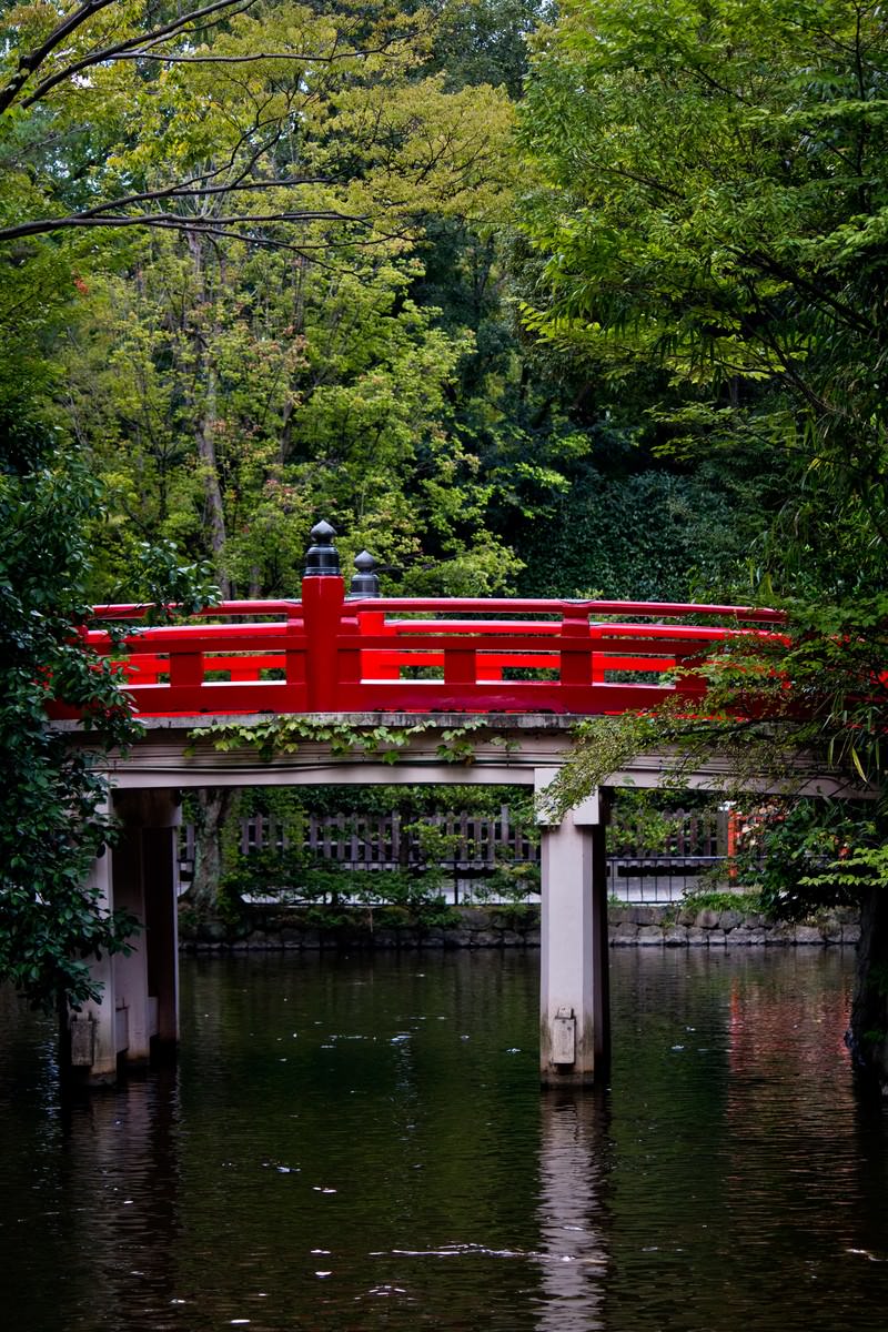 池に架かる紅い橋の写真を無料ダウンロード フリー素材 ぱくたそ