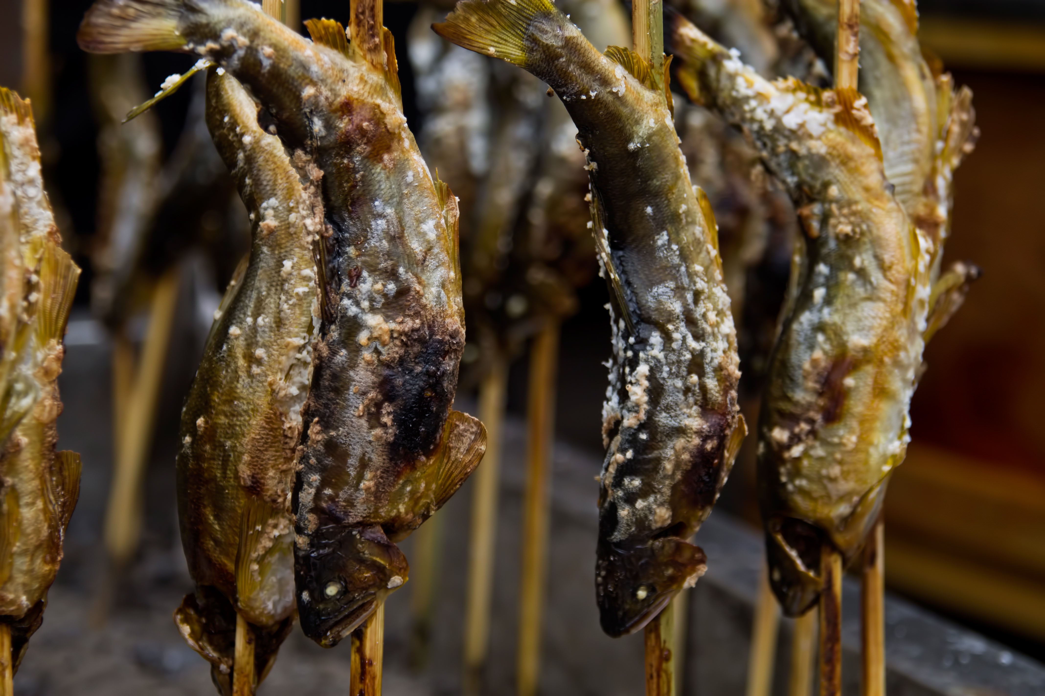 鮎の塩焼きの写真素材 ぱくたそ