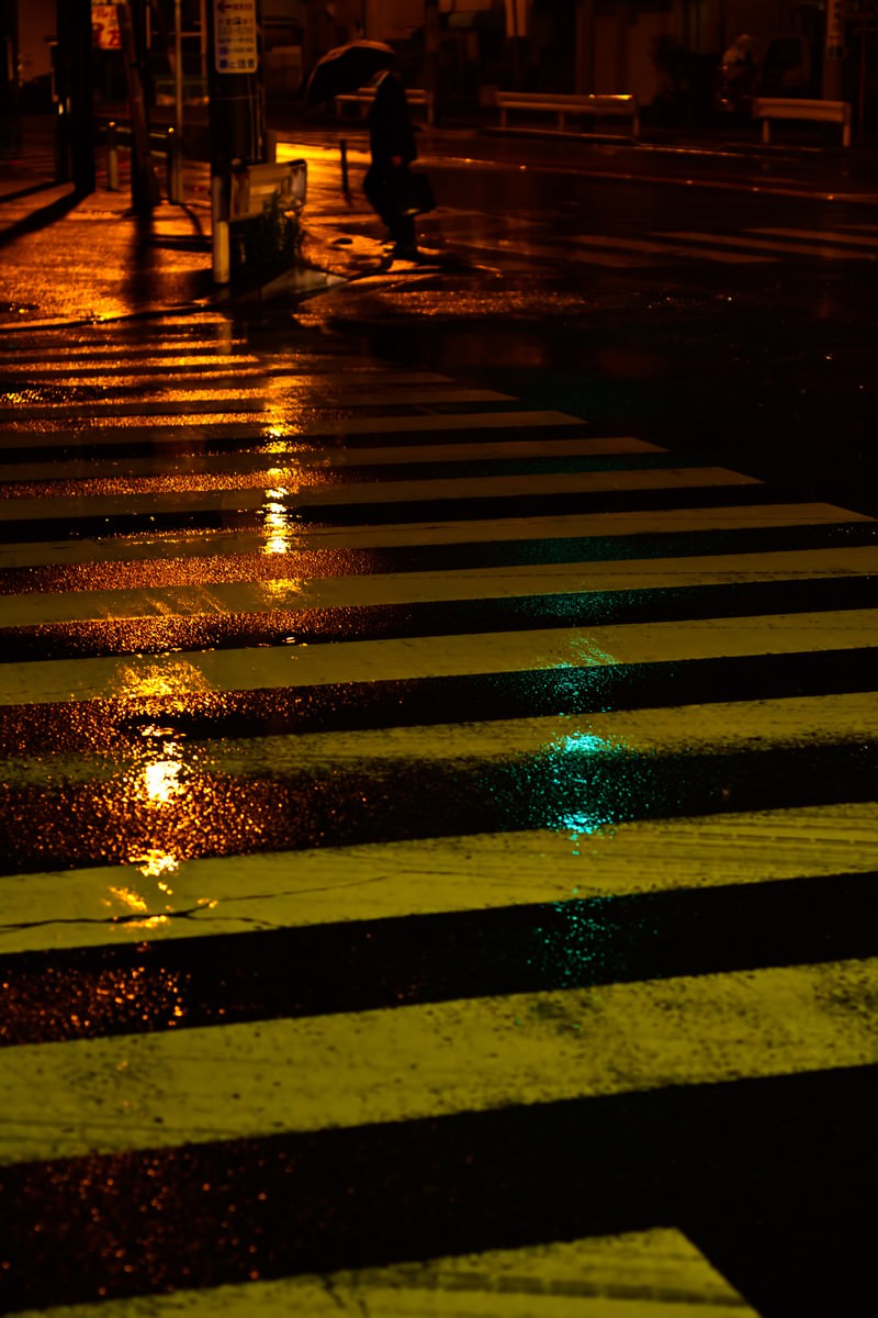 雨に濡れた横断歩道の写真素材 ぱくたそ