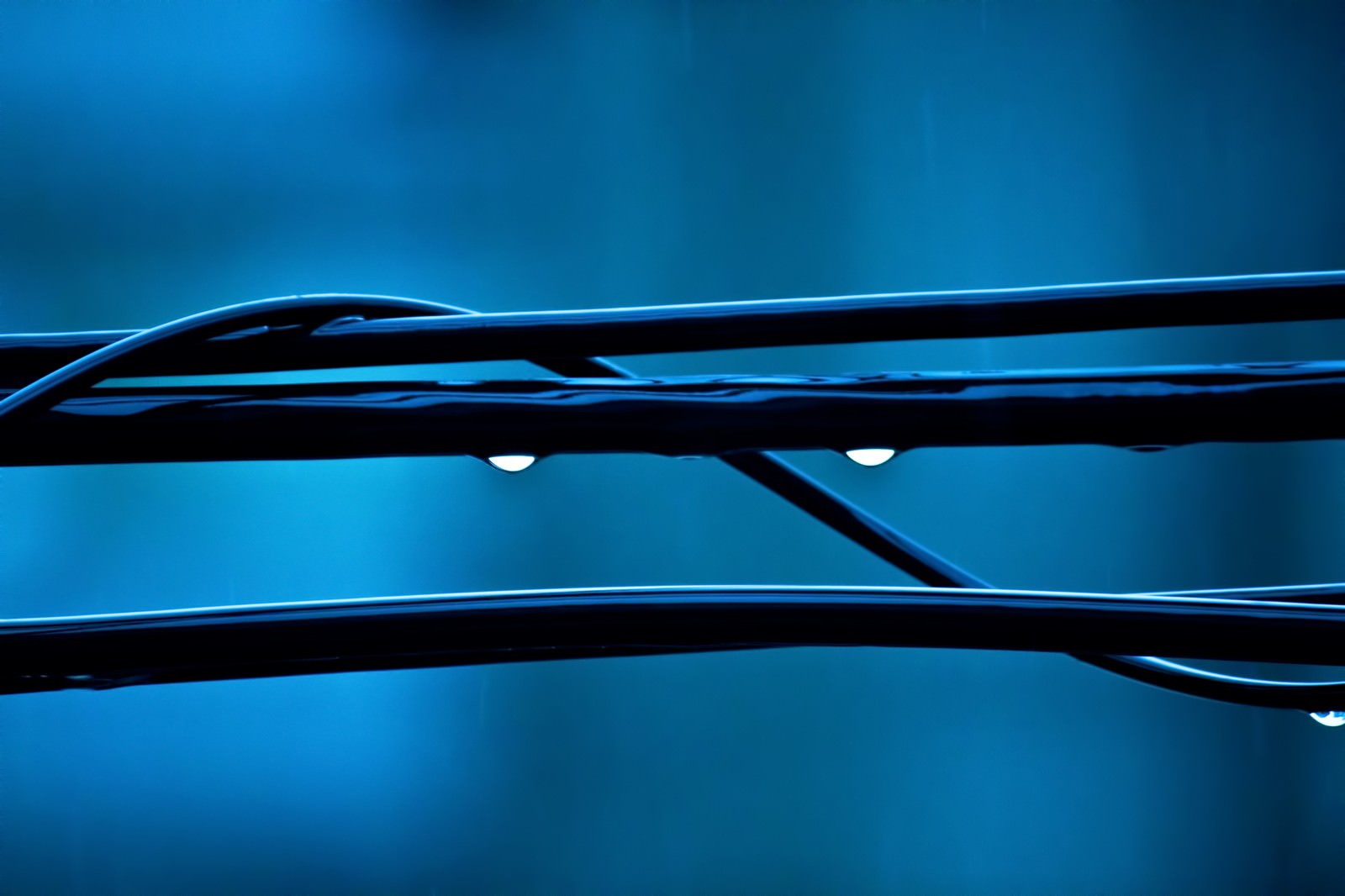 「雨水が滴る電線」の写真