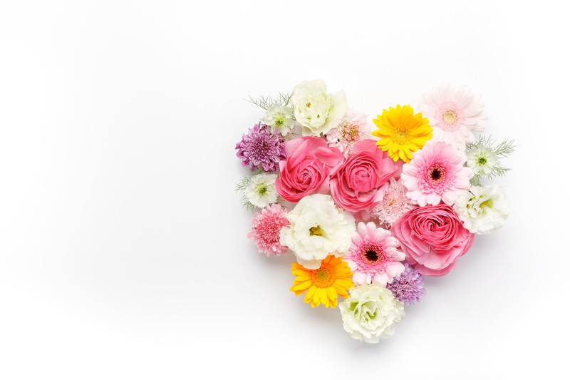 ハート型の花で愛情表現の写真を無料ダウンロード フリー素材 ぱくたそ
