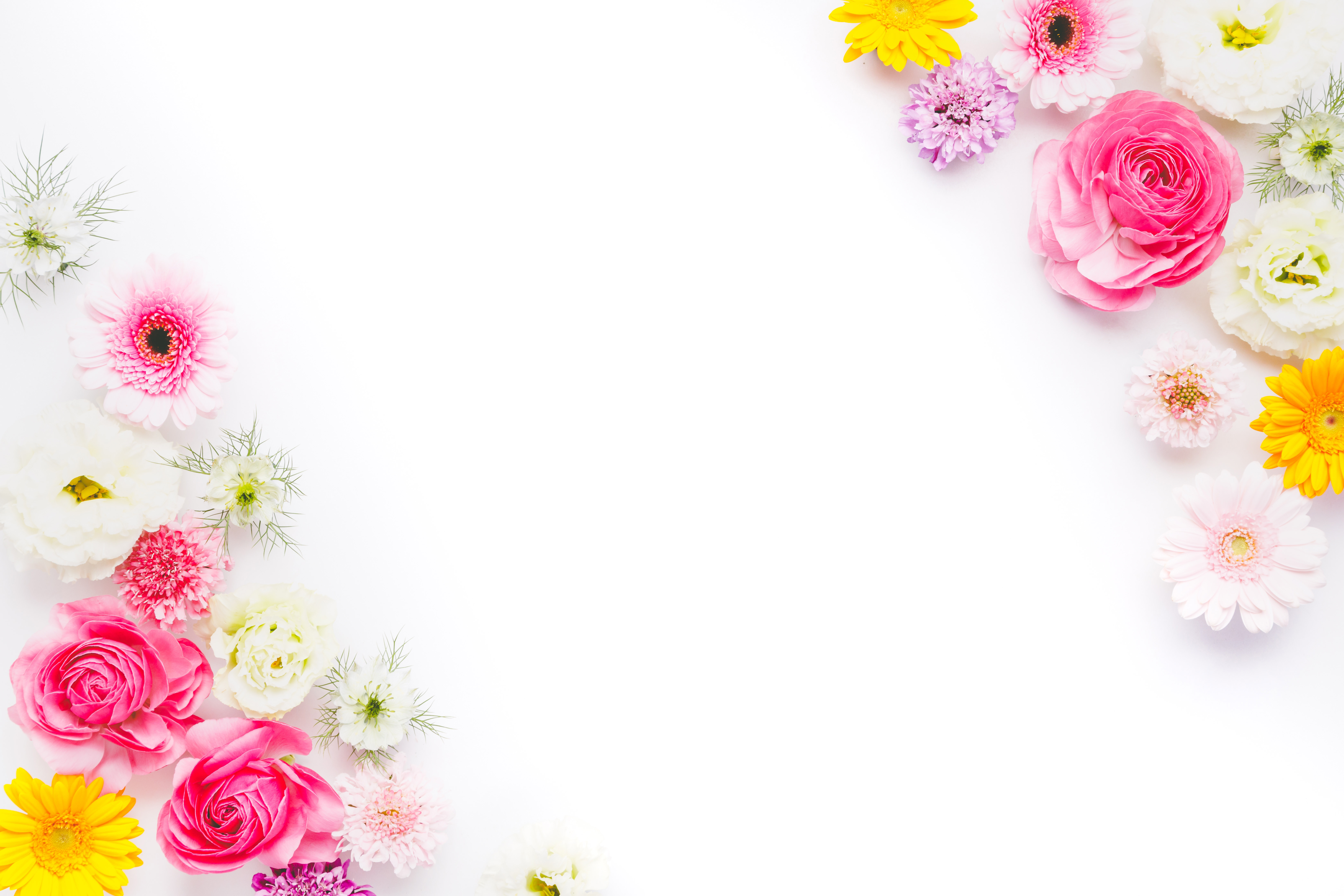 背景デザインに使いやすいお花のフレームの写真 フリー素材は ぱくたそ 写真を無料ダウンロード