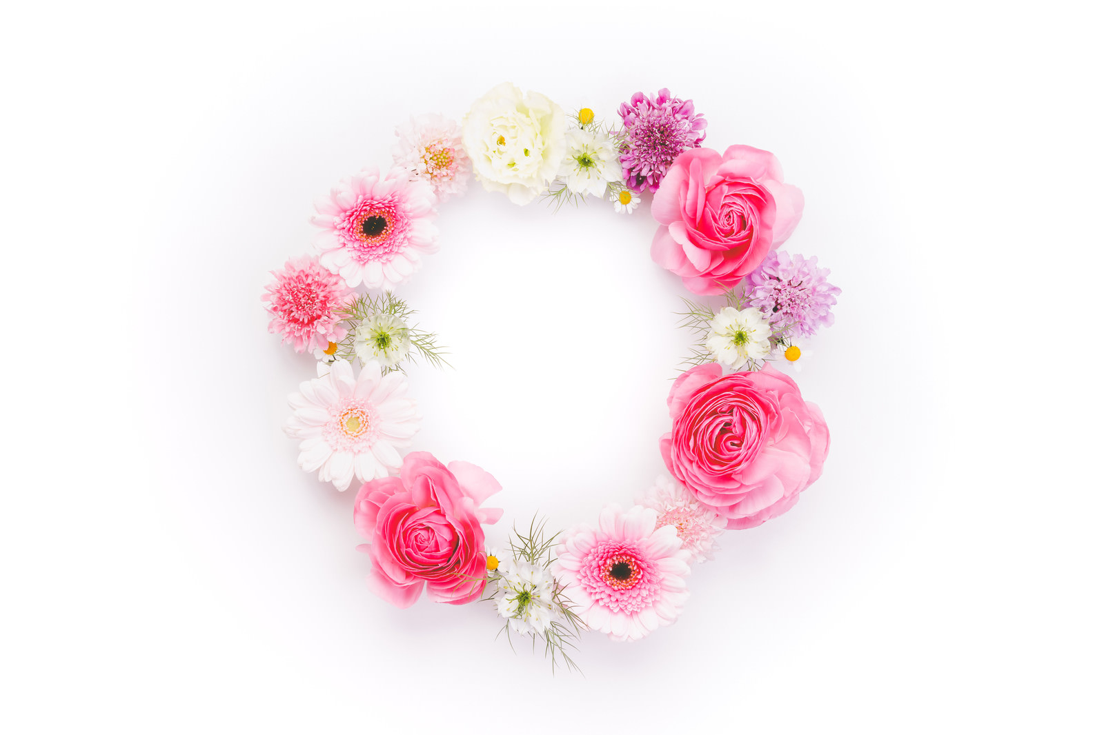 「丸いお花の輪」の写真