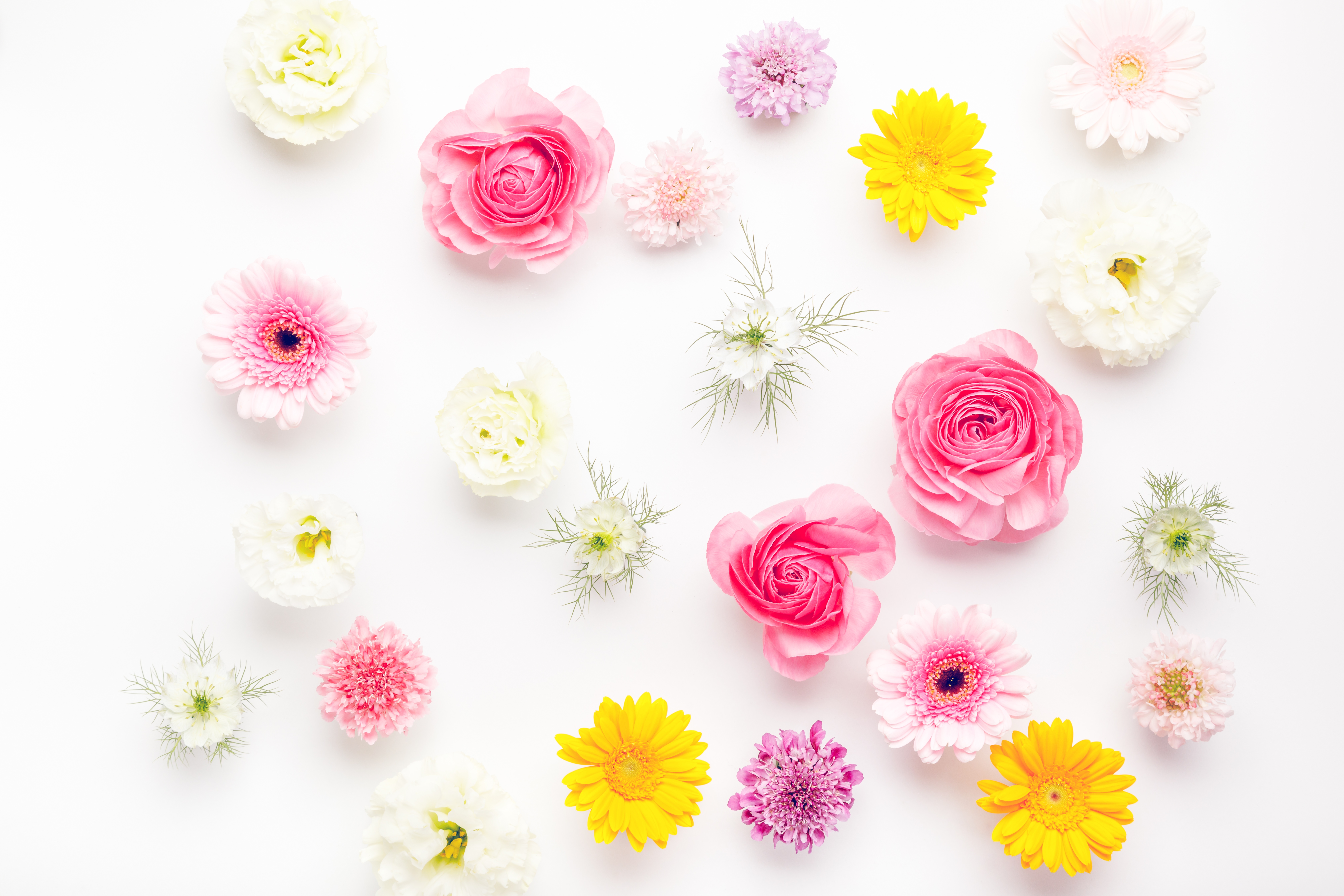 お花いっぱい春色テクスチャー マット の写真 フリー素材は ぱくたそ 写真を無料ダウンロード