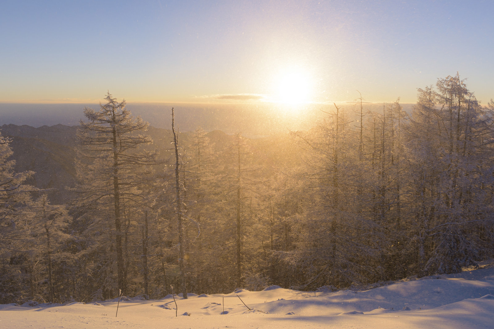 暖かい光差す雲取山山頂の写真を無料ダウンロード フリー素材 ぱくたそ 暖かい光差す雲取山山頂の写真を無料ダウンロード フリー素材 ぱくたそ