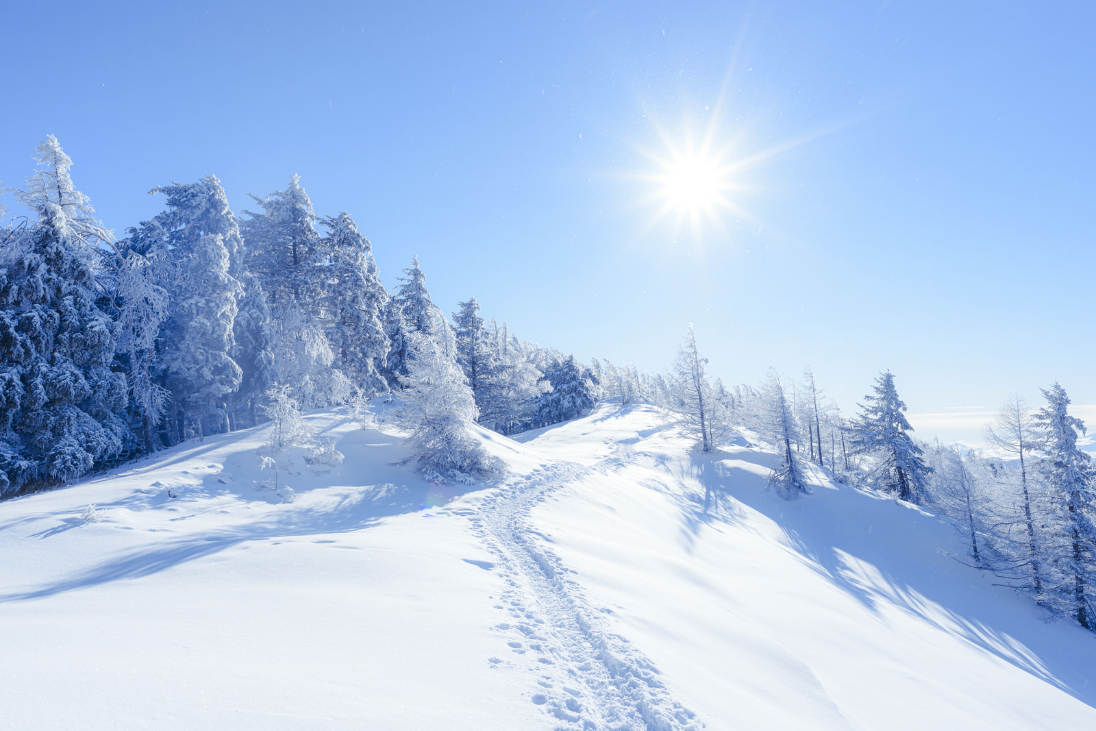 雪に包まれた雲取山登山道の写真を無料ダウンロード フリー素材 ぱくたそ 雪に包まれた雲取山登山道の写真を無料ダウンロード フリー素材 ぱくたそ
