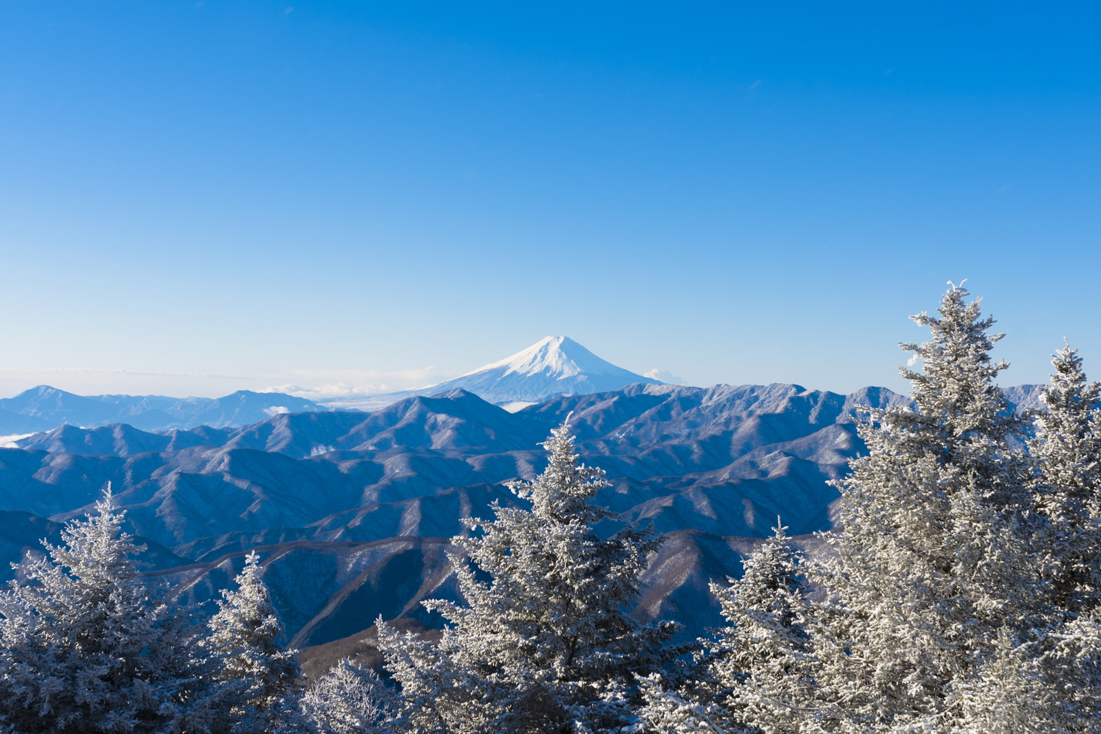 霧氷と富士山 雲取山 の写真 画像 を無料ダウンロード フリー素材のぱくたそ 霧氷と富士山 雲取山 の写真 画像 を無料ダウンロード フリー素材のぱくたそ