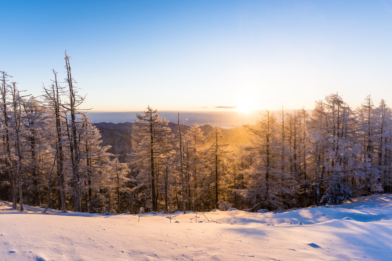 黄金色の朝日と雪景色 雲取山 の写真を無料ダウンロード フリー素材 ぱくたそ 黄金色の朝日と雪景色 雲取山 の写真を無料ダウンロード フリー素材 ぱくたそ