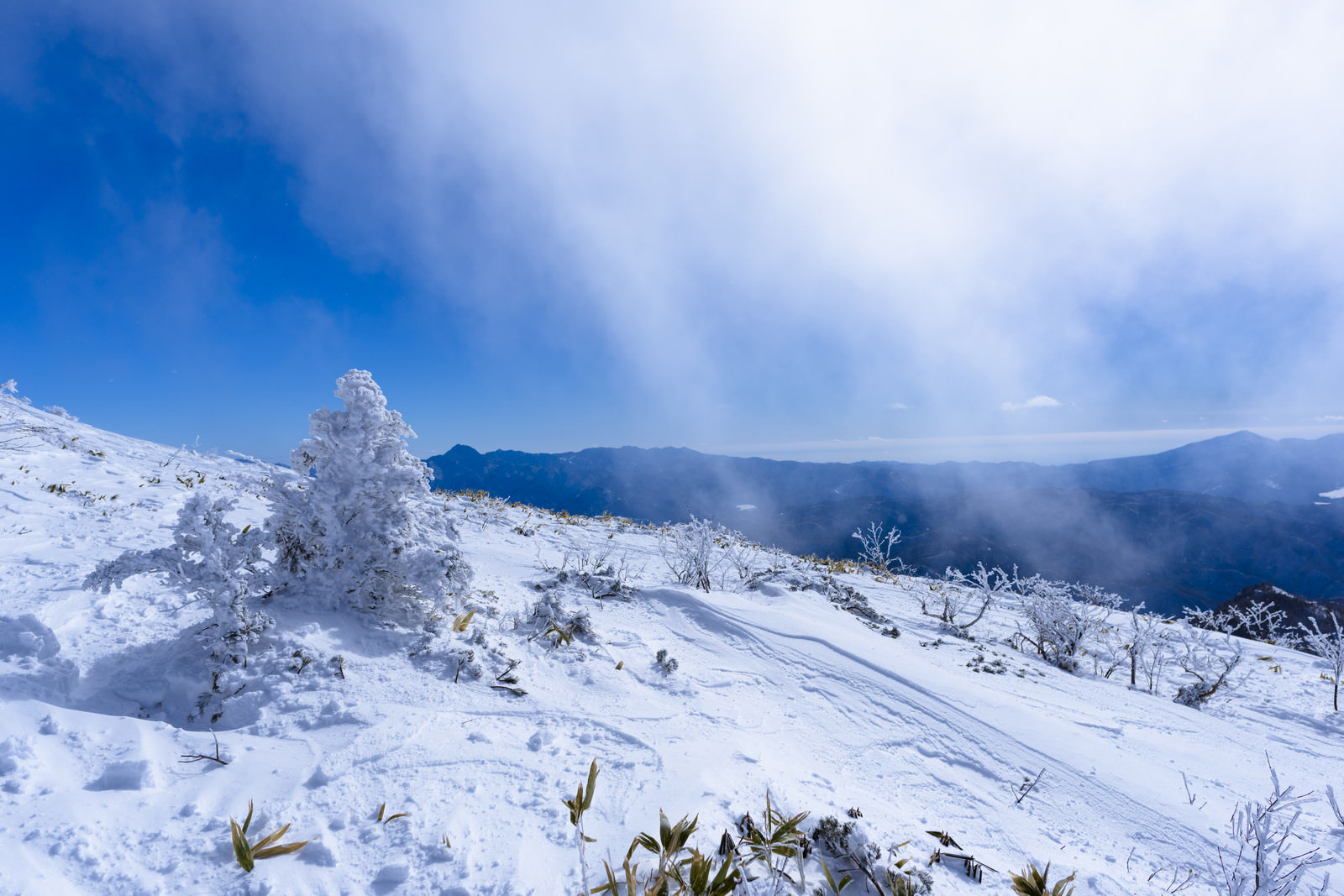 「雪原が広がる稜線（上州武尊山） | フリー素材のぱくたそ」の写真