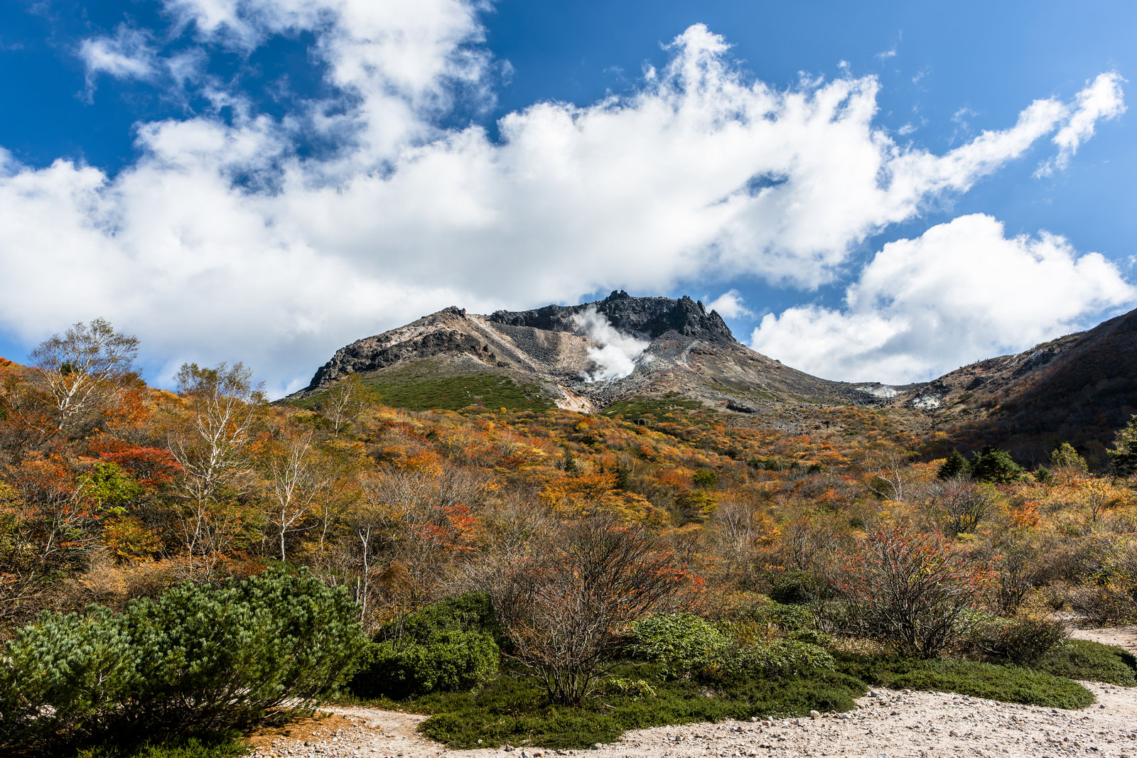 姥ヶ平の紅葉（那須岳）のフリー素材