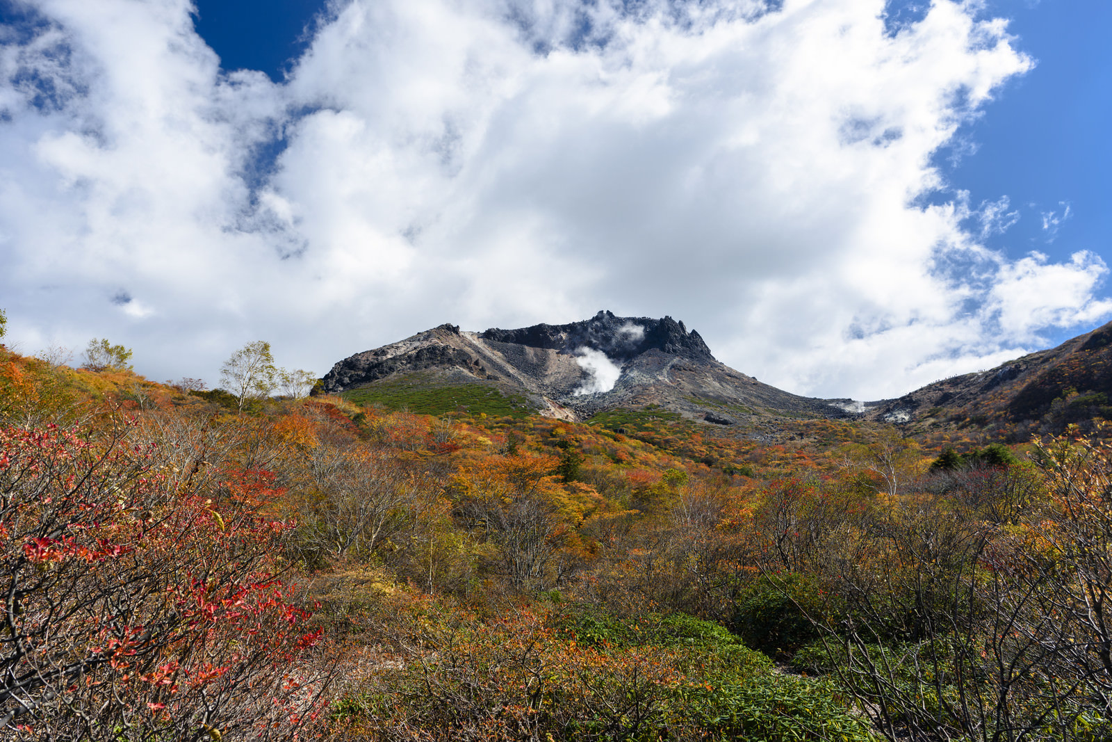 「紅葉の那須姥ヶ平（那須岳） | フリー素材のぱくたそ」の写真