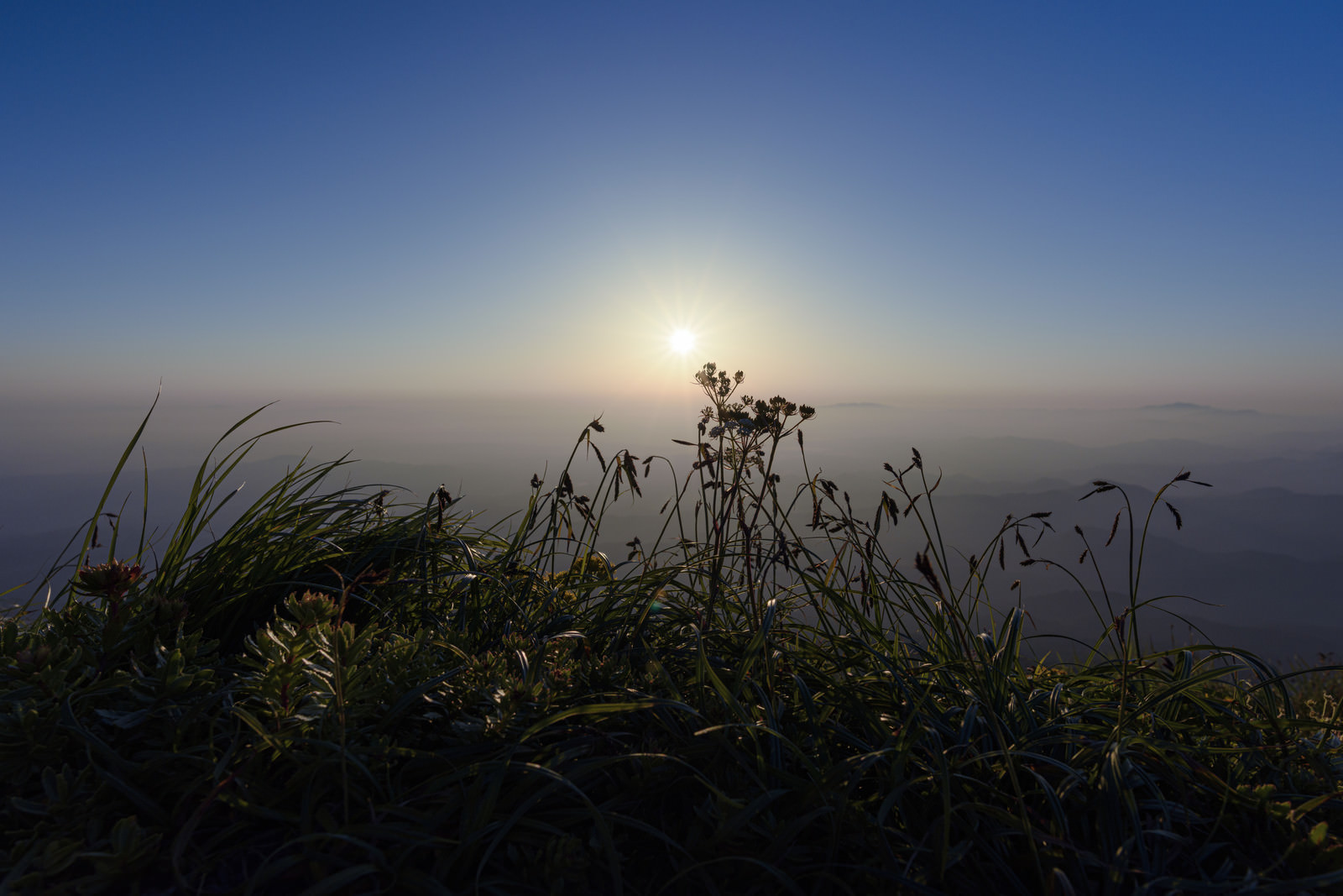 朝日を待つ草木 鳥海山 の写真 画像 を無料ダウンロード フリー素材のぱくたそ