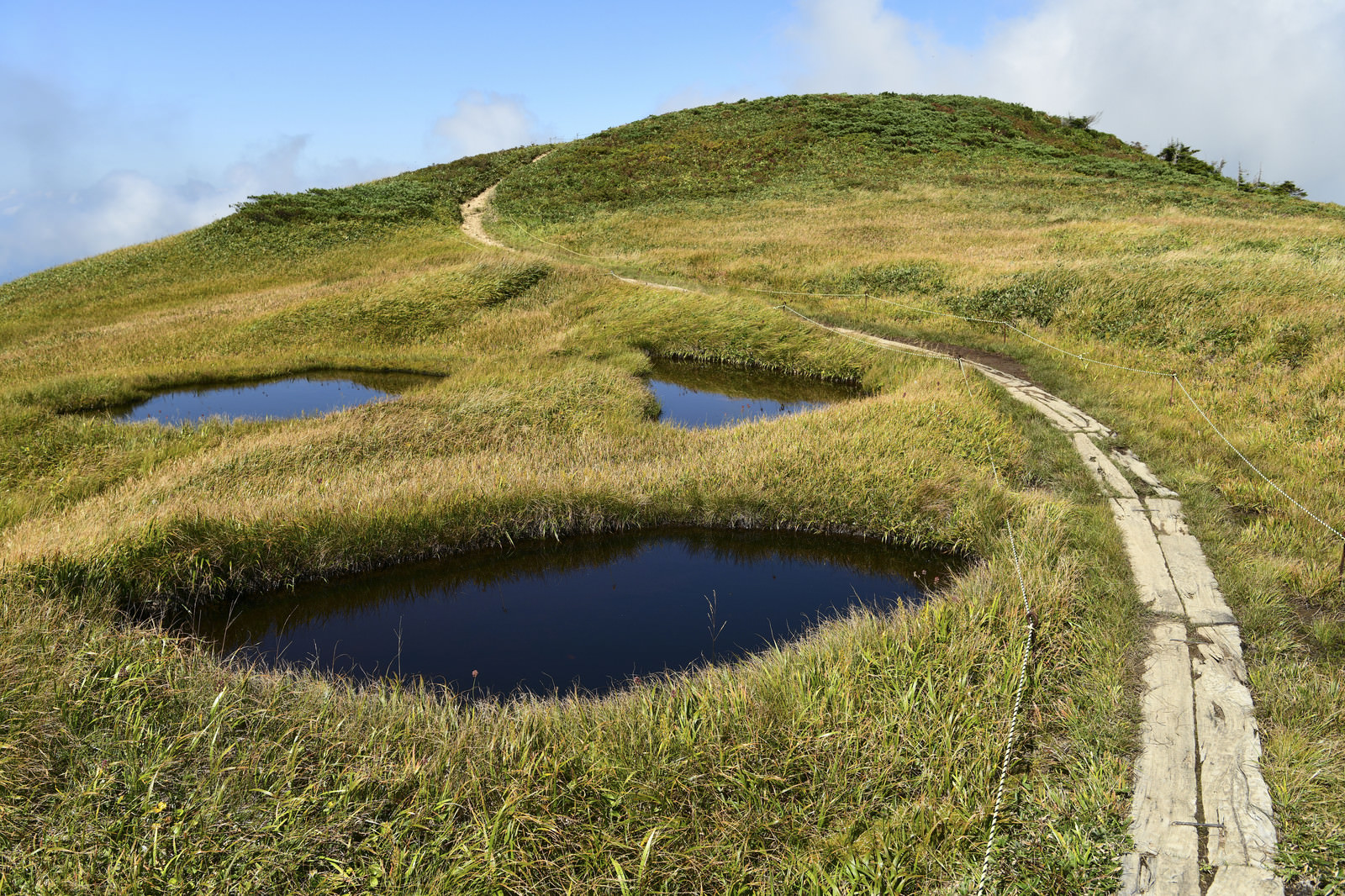 優しく微笑む池塘 巻機山 の写真素材 ぱくたそ
