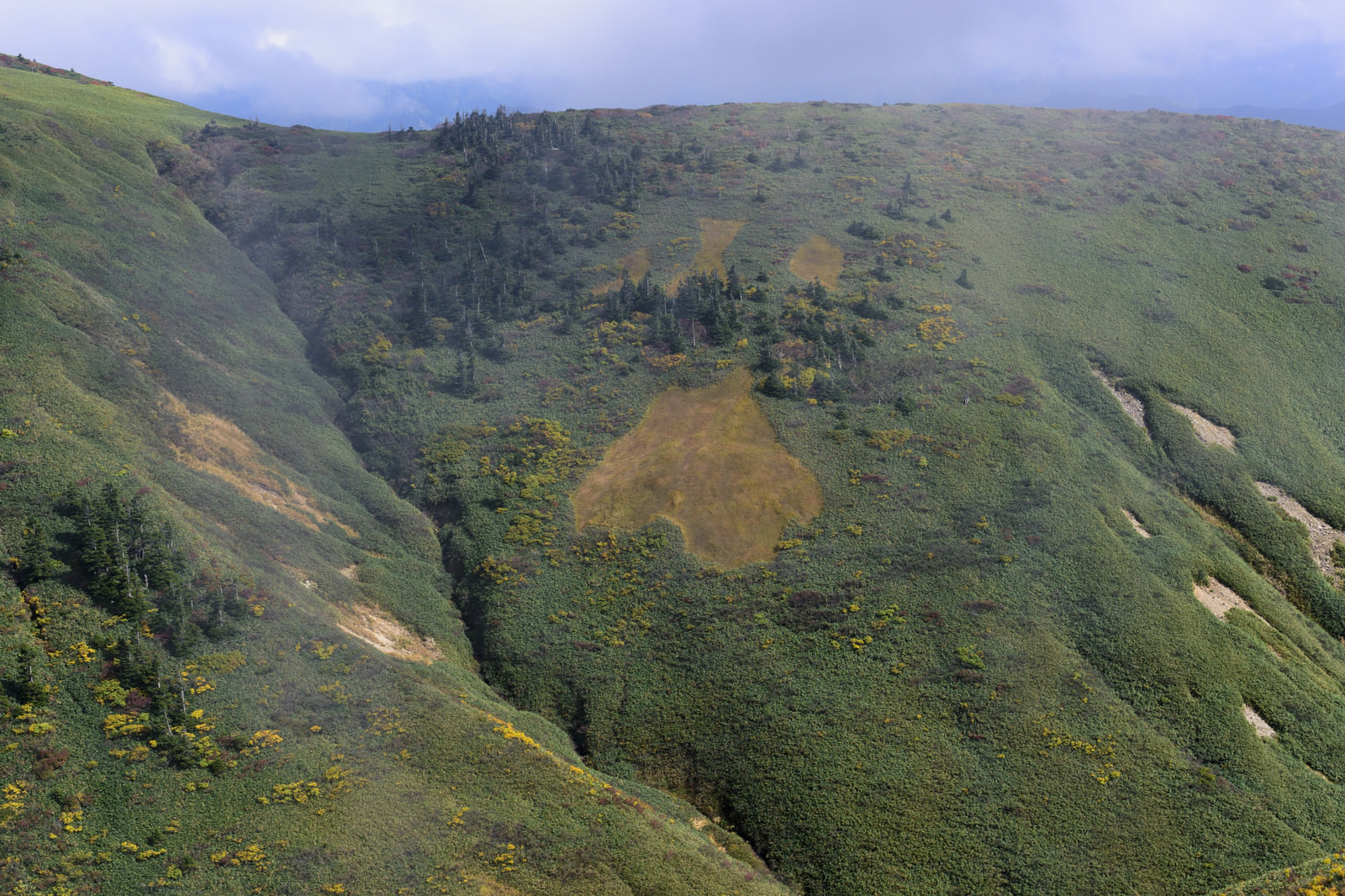 山肌が肉球のような模様になる草紅葉 巻機山 の写真素材 ぱくたそ