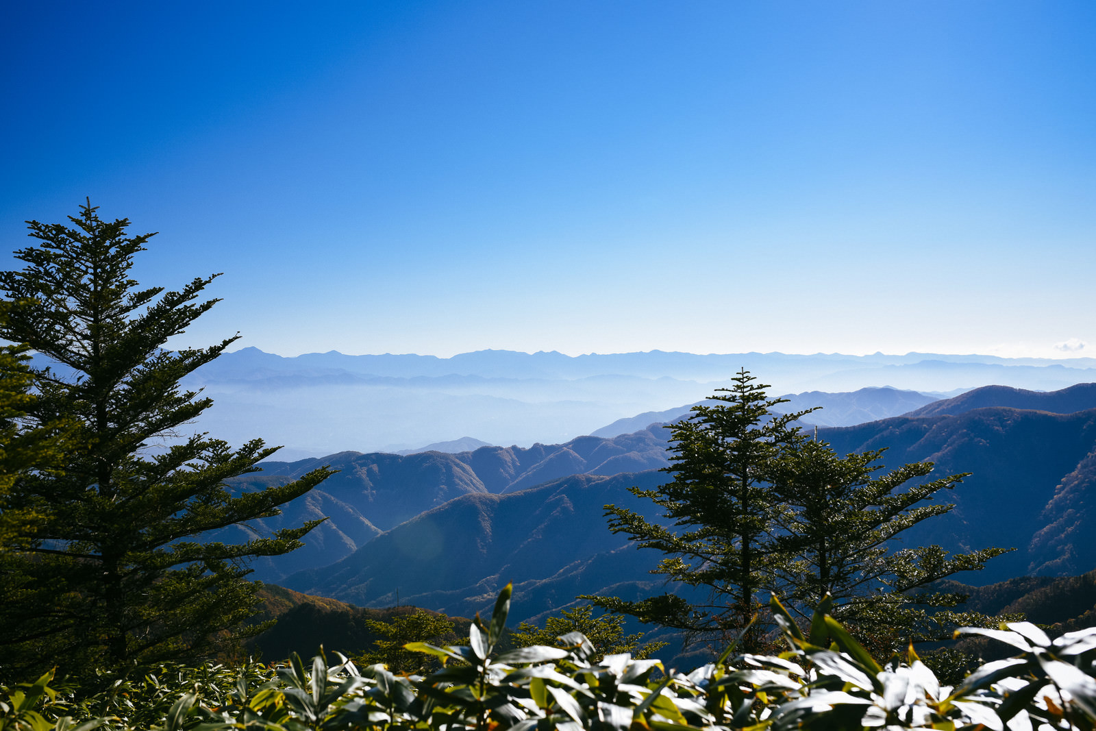 「恵那山から見るアルプスの長大な稜線」の写真