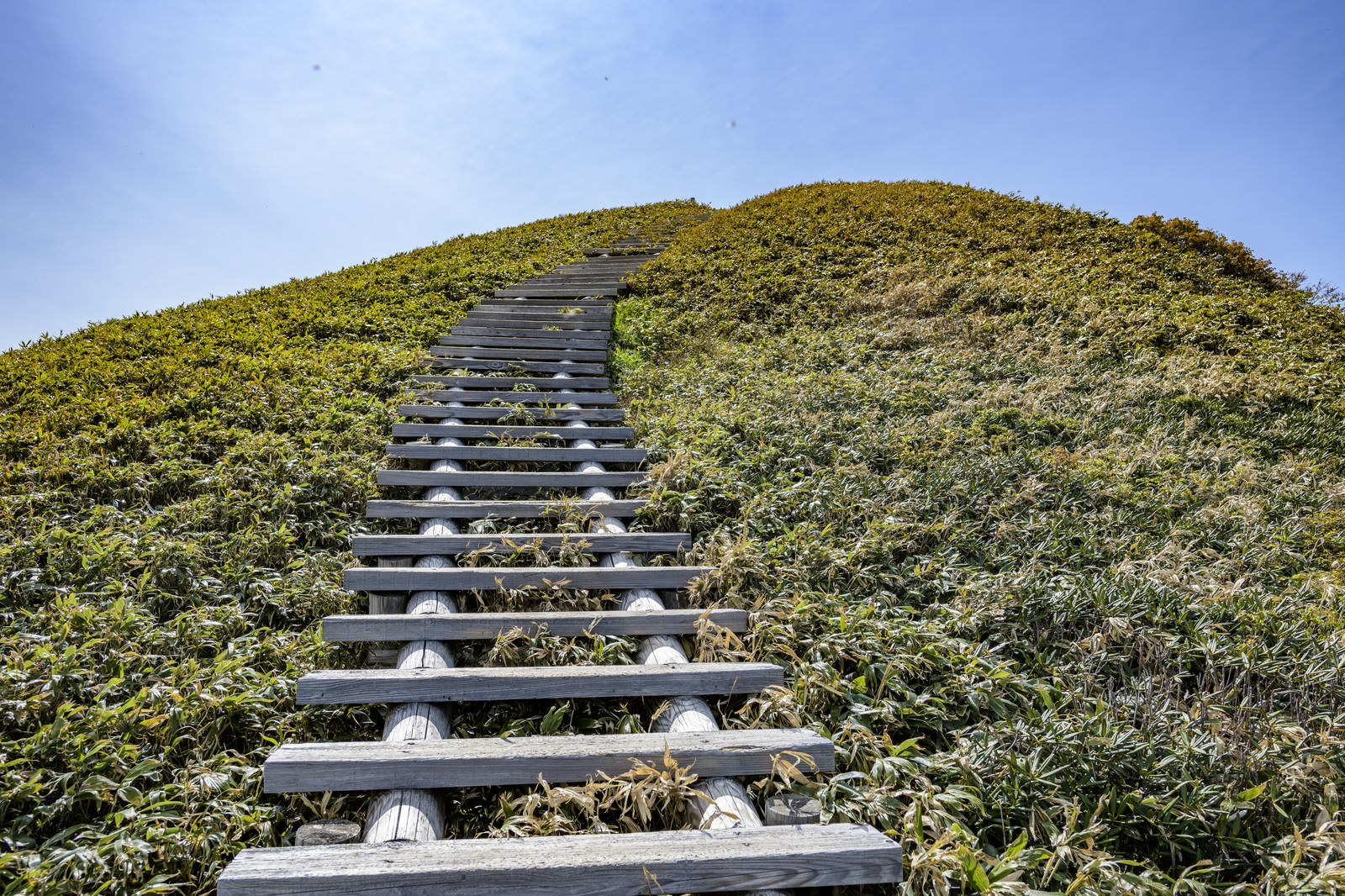 「天空へと向かう木道の階段」