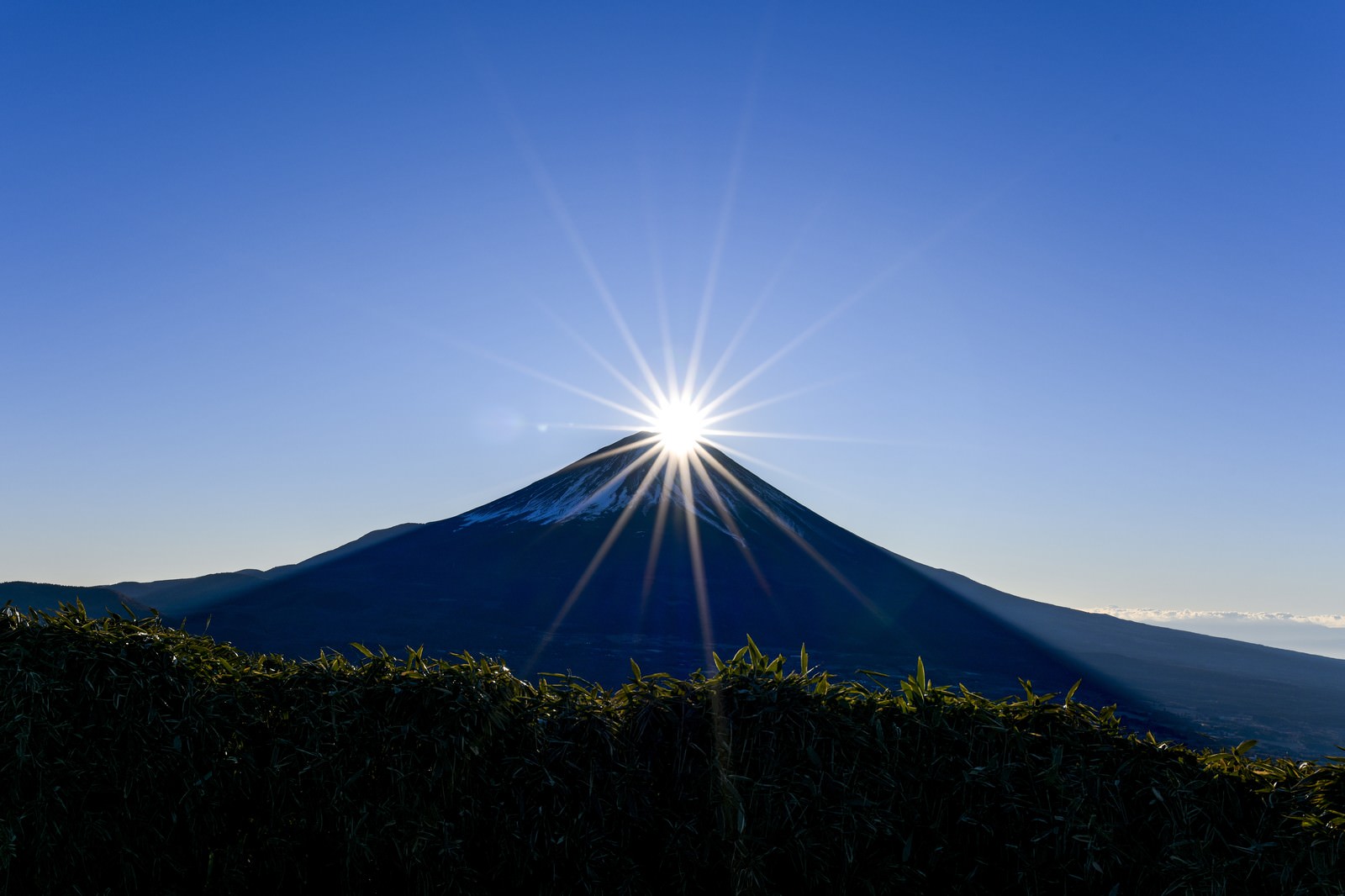 竜ヶ岳から見るダイヤモンド富士の写真素材 ぱくたそ