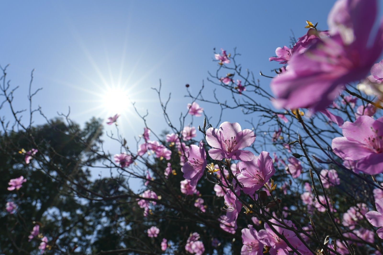 ãåèã¨èµ¤å«æ±ã