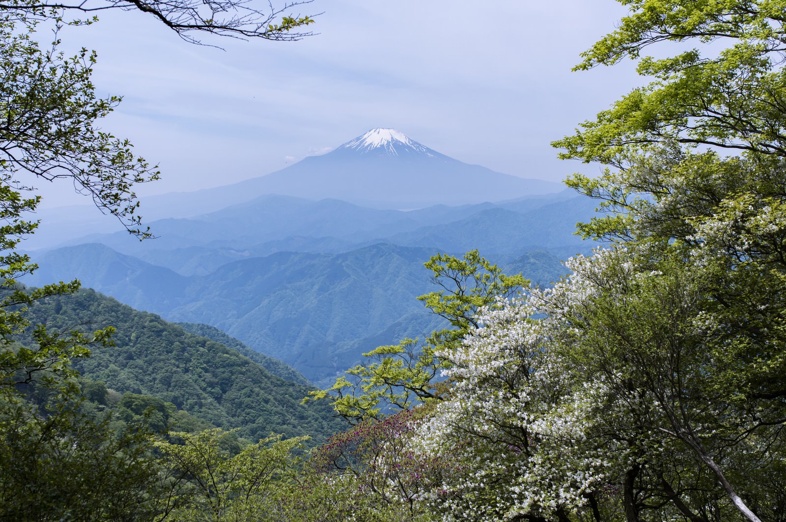 ãä¸¹æ²¢å±±ä¸­ããè¦ãå¯å£«å±±ã¨ã·ã­ã¤ã·ãªã