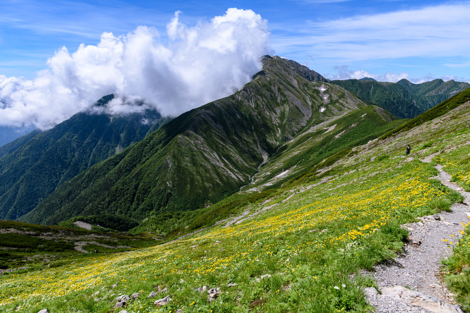 花畑の登山道と赤石岳 南アルプス の写真を無料ダウンロード フリー素材 ぱくたそ