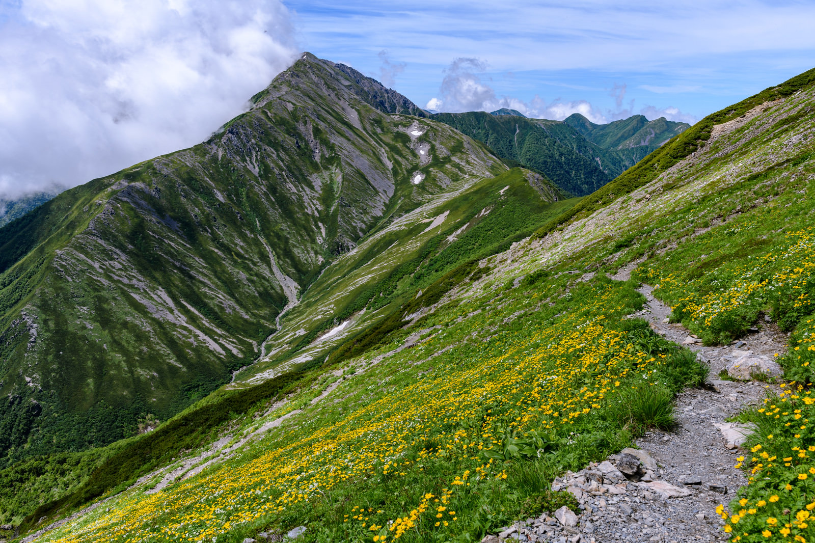 「花畑を進む登山道と赤石岳（南アルプス） | フリー素材のぱくたそ」の写真