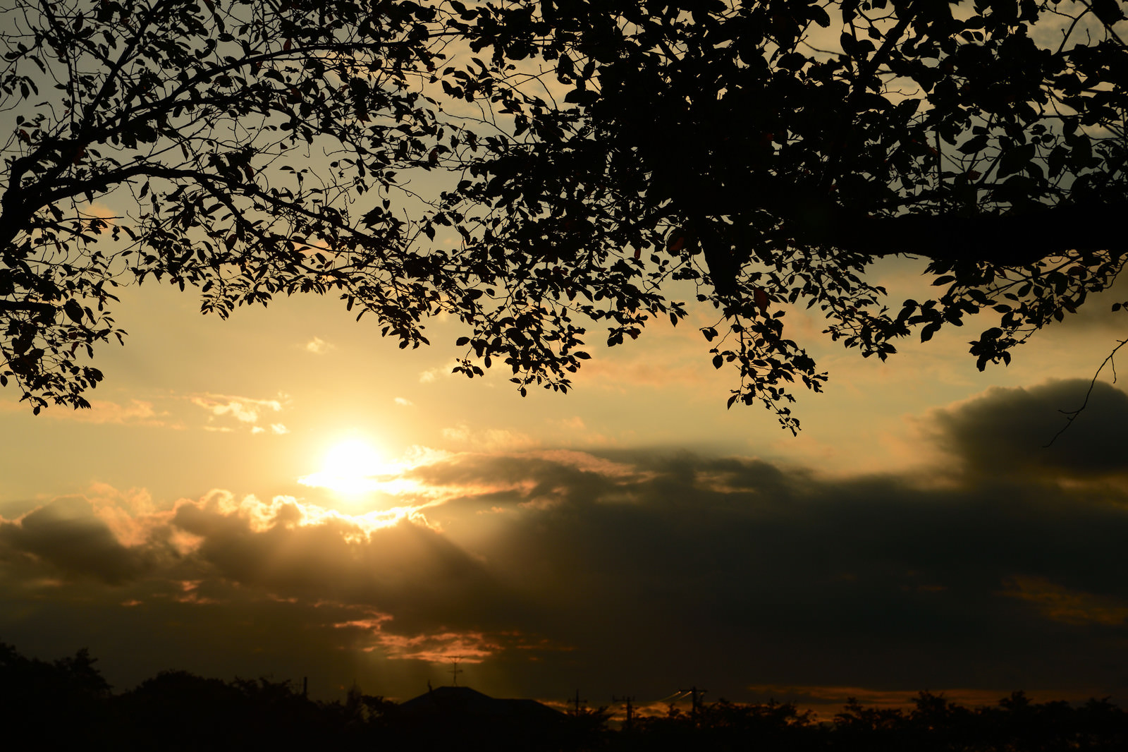 「夕暮れの風景」の写真