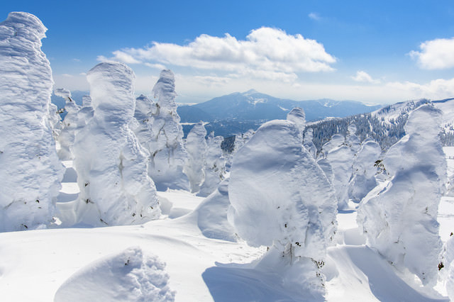 樹氷と磐梯山(バンダイサン)の写真