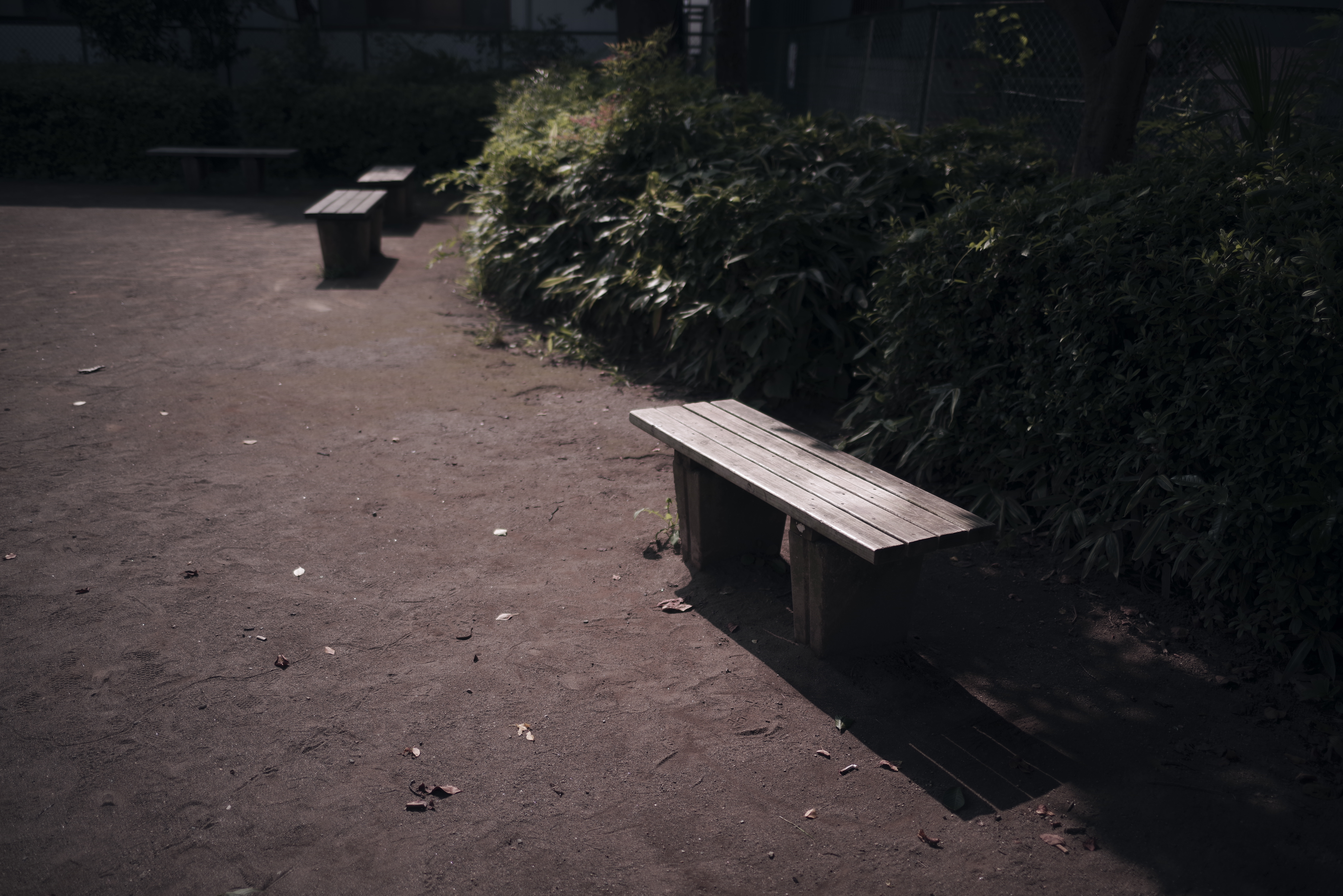 座る人のいない公園のベンチの写真素材 ぱくたそ