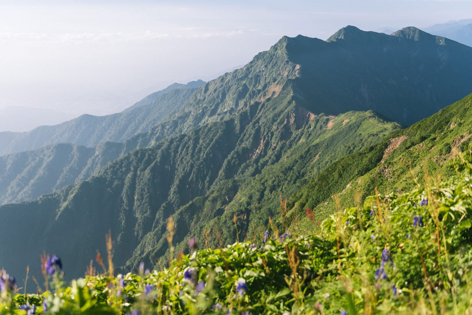 夏の朝の冷池山荘稜線の写真素材 ぱくたそ 夏の朝の冷池山荘稜線の写真素材 ぱくたそ