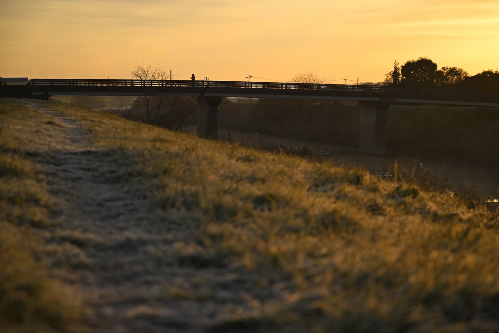 「朝焼けを橋の上から見る人」の写真
