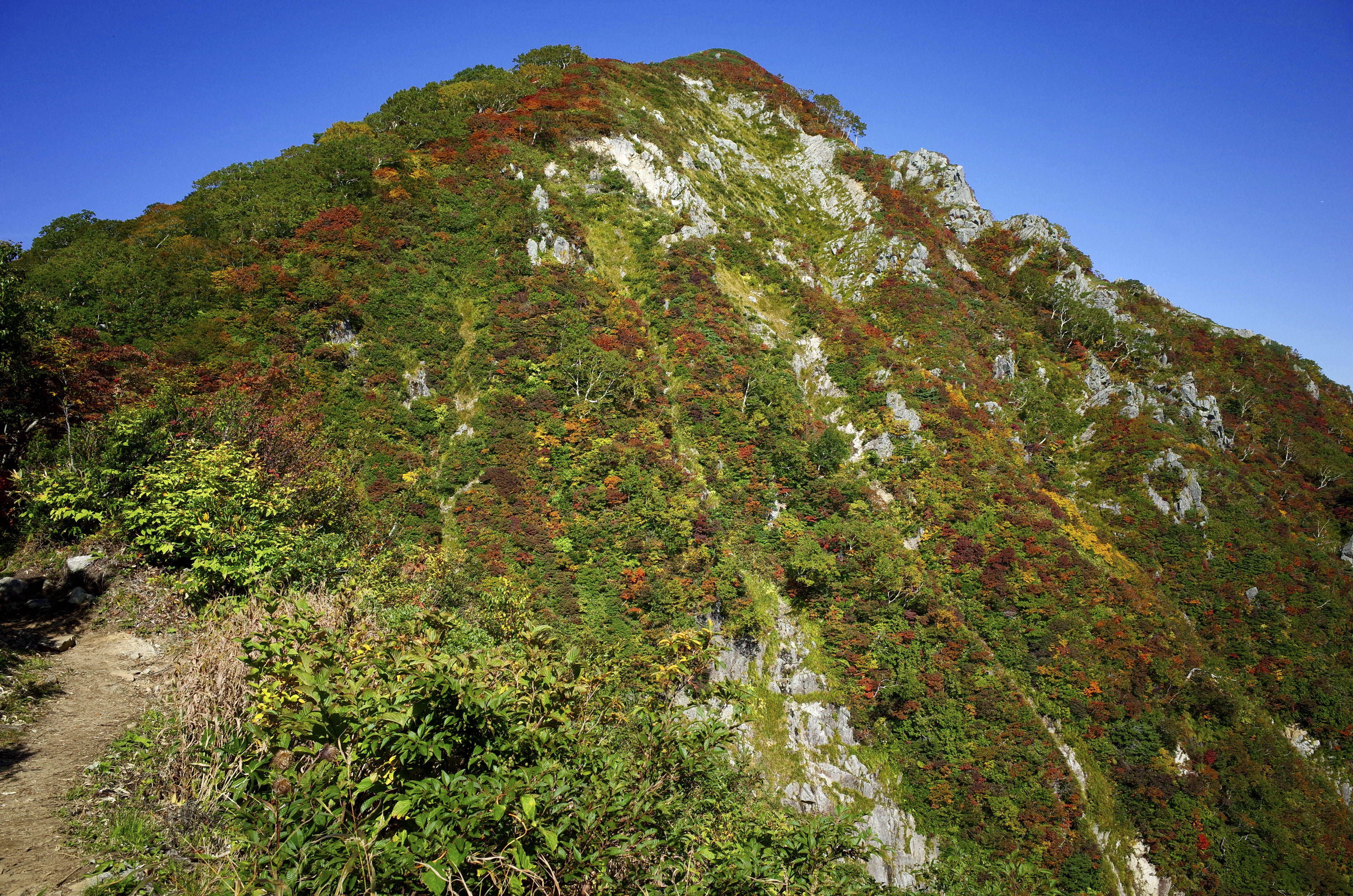 紅葉の小朝日岳を見上げる 大朝日岳 の写真素材 ぱくたそ