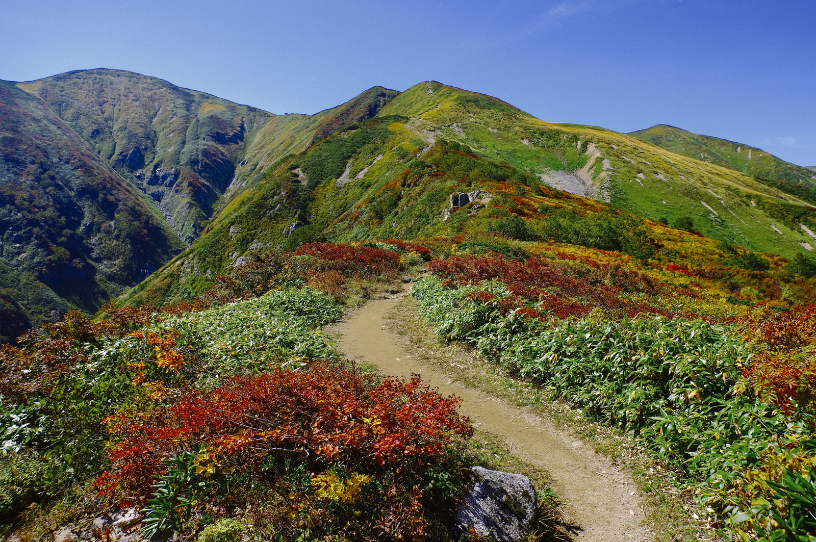 「紅葉の登山道が気持ちいい大朝日岳（おおあさひだけ） | フリー素材のぱくたそ」の写真