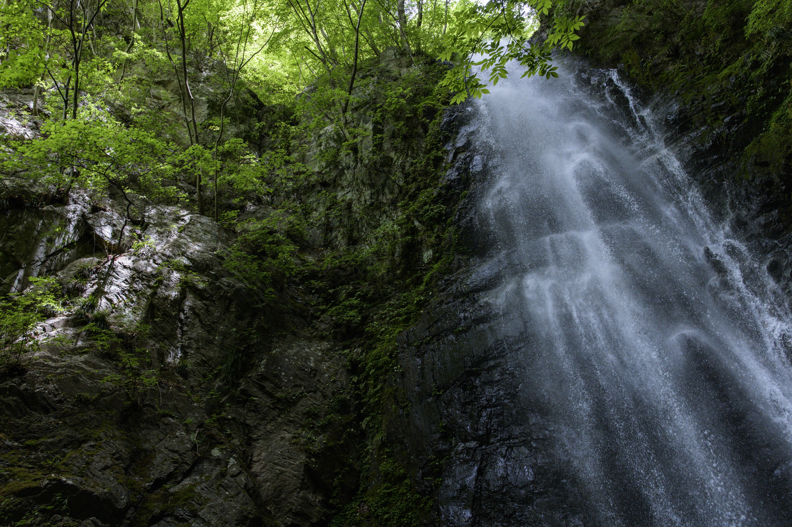 「百尋の滝と新緑 | フリー素材のぱくたそ」の写真