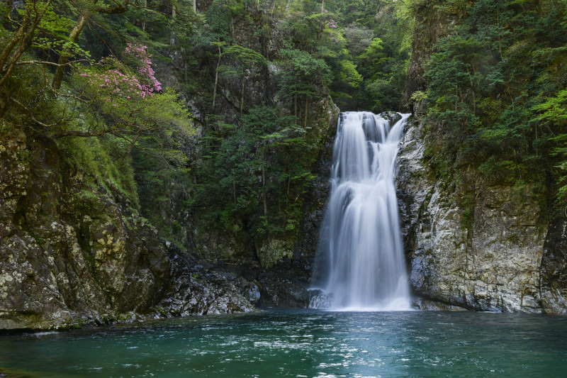 堂倉滝 大杉谷 の無料の写真素材 フリー素材 をダウンロード ぱくたそ
