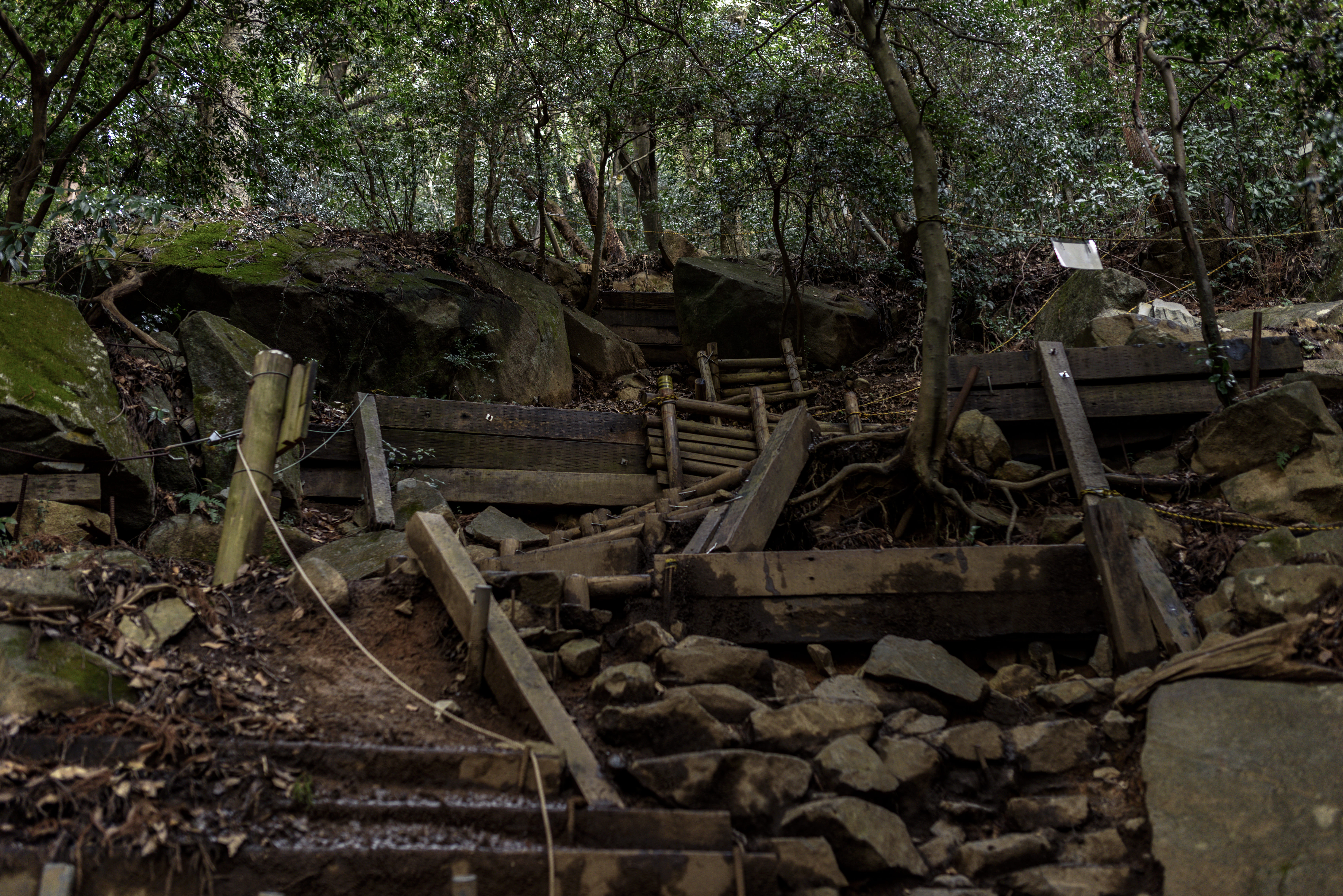 薄暗い筑波山登山道の写真素材 ぱくたそ