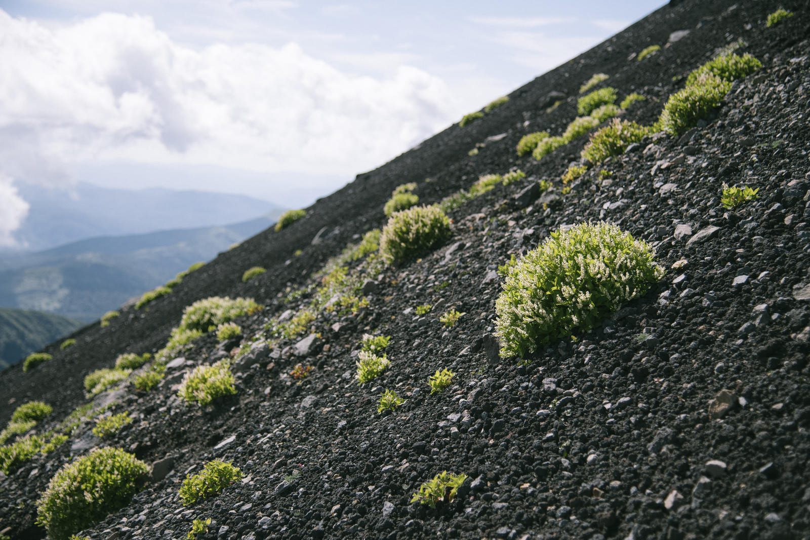 火山性の植物が生い茂る十勝岳山頂直下の無料写真素材 - ID.82232｜ぱくたそ