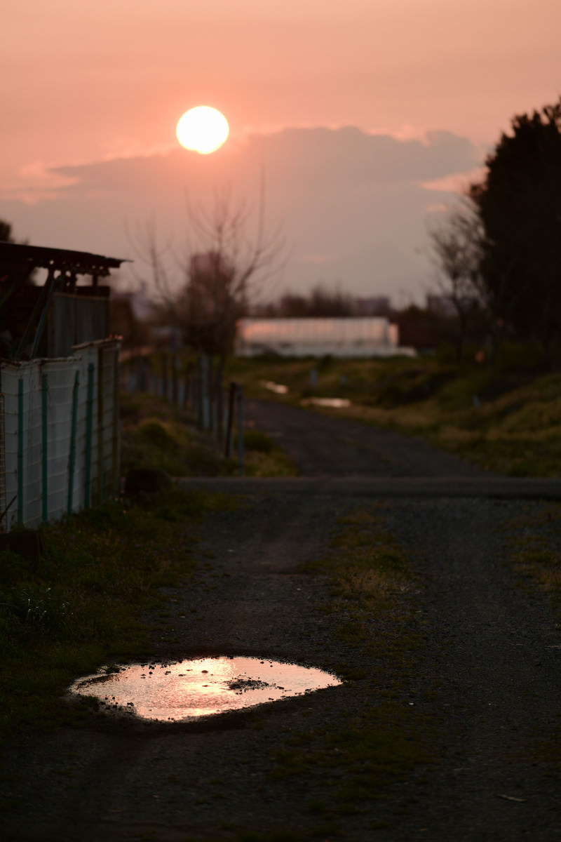 夕方の水たまりの写真を無料ダウンロード フリー素材 ぱくたそ